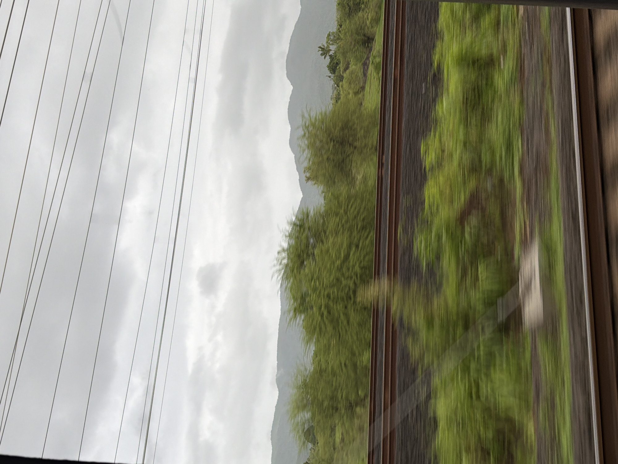 The image captures a motion-blurred view from a train window, looking out at a lush, green landscape under a cloudy, overcast sky. In the foreground, the dark brown railway tracks are visible, with ballast underneath. Beyond the tracks, a vibrant green, blurred field of grass and foliage stretches across the frame, indicating the speed of the train. In the mid-ground, several trees with dense, green foliage are also motion-blurred, appearing as streaks of green. Further in the background, rolling hills or mountains are visible, shrouded in a light haze, and their shapes are softened by the distance and the atmospheric conditions. A few power lines are strung horizontally across the upper portion of the image, silhouetted against the pale, cloudy sky. The scene suggests a rural or semi-rural environment in Palghar, India, characterized by its natural greenery and the presence of railway infrastructure. There are no people or discernible objects that are not part of the natural or transport environment.