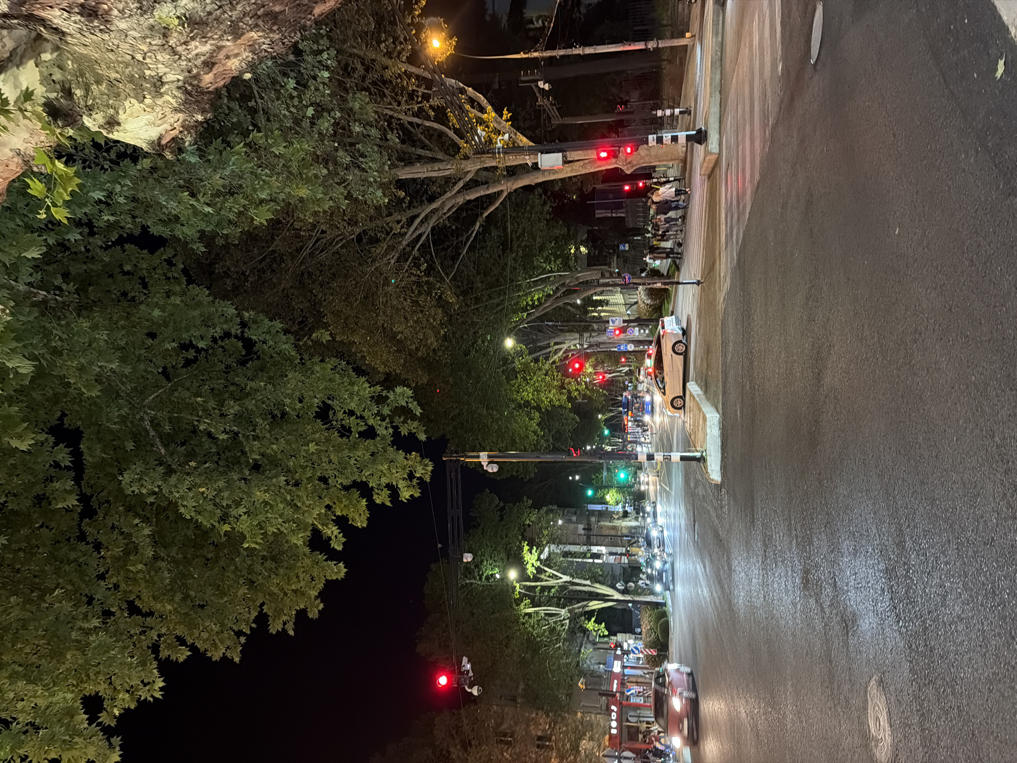 At night, a street in Tbilisi, Georgia is depicted. The street is illuminated by streetlights and traffic signals. Several red lights are visible. A car and several people are walking along the sidewalk. Trees line the street, and some appear to be old with gnarled branches.