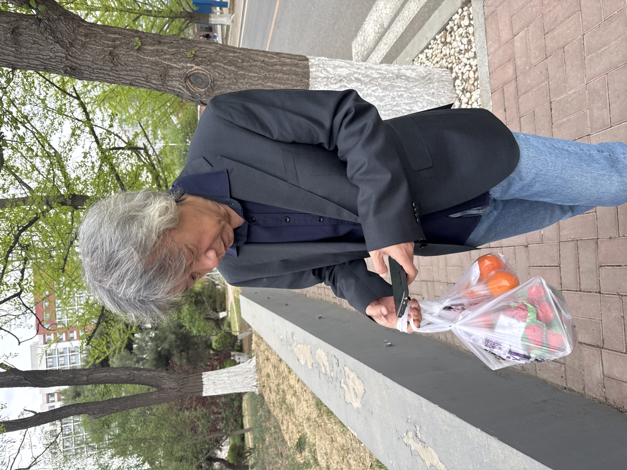 An elderly man with gray hair, wearing a dark suit jacket and jeans, stands outside in Zhongtun, China. He holds a cell phone in one hand and a plastic bag filled with oranges and what appears to be a box of strawberries in the other. He looks down at the bag. Trees and foliage surround him, and a concrete barrier is in the foreground. The setting suggests a public park or a street with greenery. The ground is covered in tan grass or mulch. There is a sidewalk with red bricks.