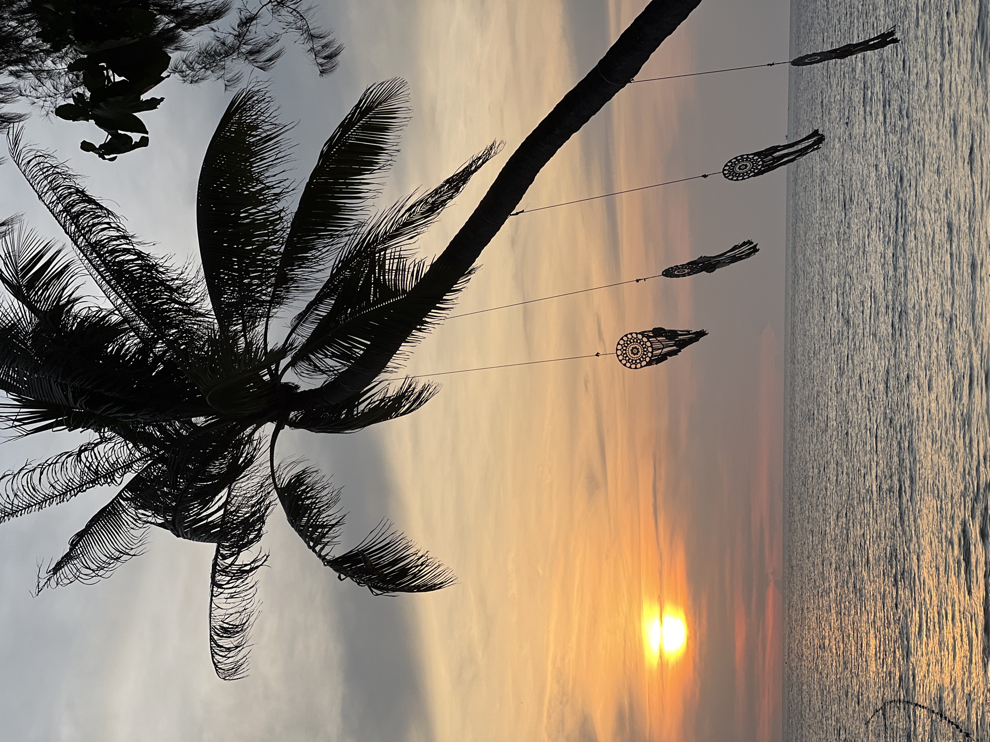 A landscape-oriented photograph depicts a scenic view during what appears to be sunset. A palm tree is prominently positioned on the left side, its fronds silhouetted against the sky, with ornate hanging decorations adorning its trunk. The sky transitions from a pale, hazy gray at the top to a warm, golden hue towards the lower portion of the image, where the sun is setting on the horizon. To the right, the ocean stretches into the distance, its surface reflecting the sunlight. The location is given as Unknown, Unknown.