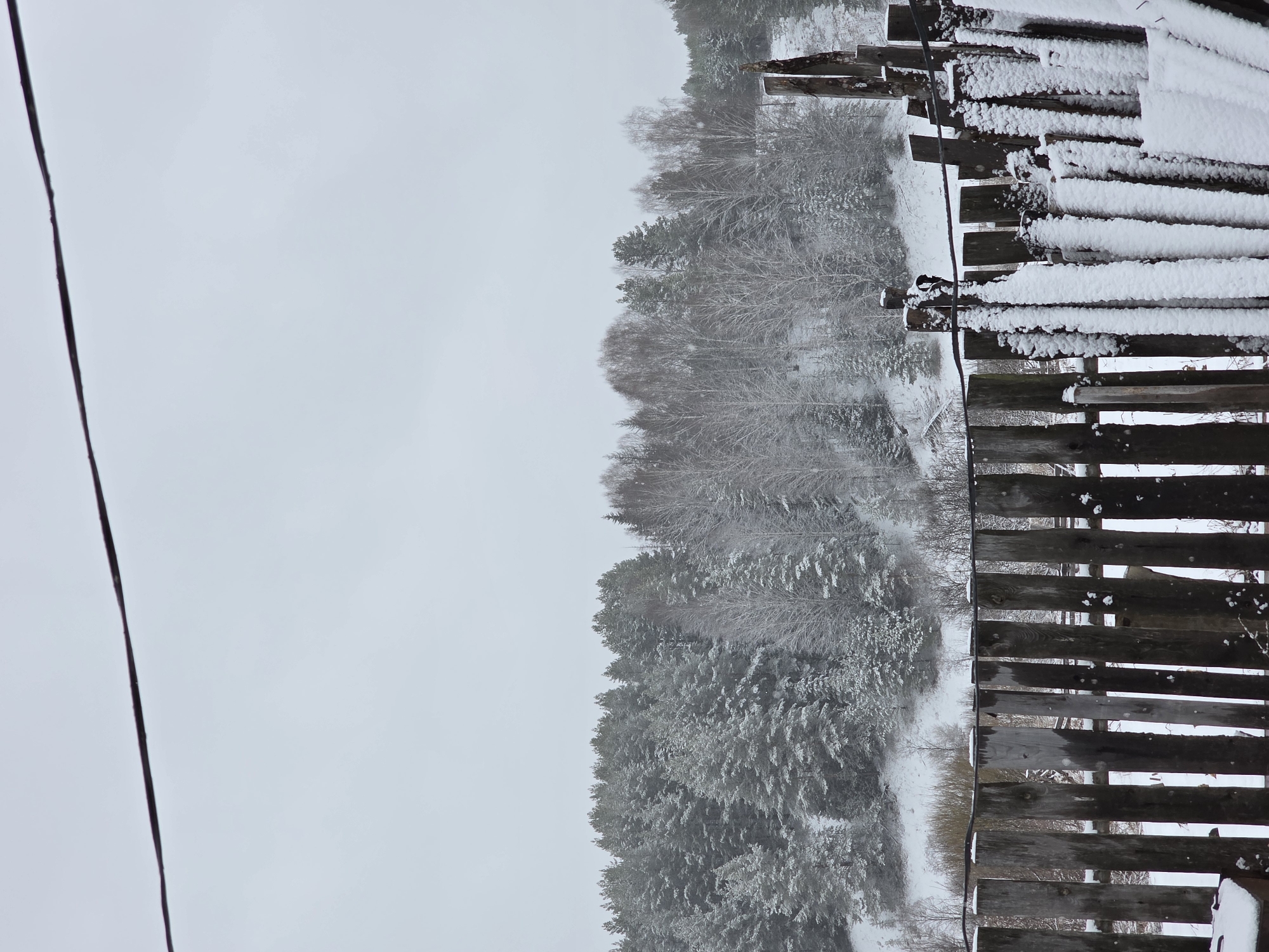The image depicts a snow-covered landscape, taken outdoors in what appears to be the Russian city of Зипуново. A wooden fence dominates the right side of the image, its slats partially covered in snow. To the left of the fence, a snow-laden forest extends into the distance, suggesting a natural setting. The sky is overcast and gray. A wire, likely a power or communication line, is visible in the left corner. No people are visible in the image.