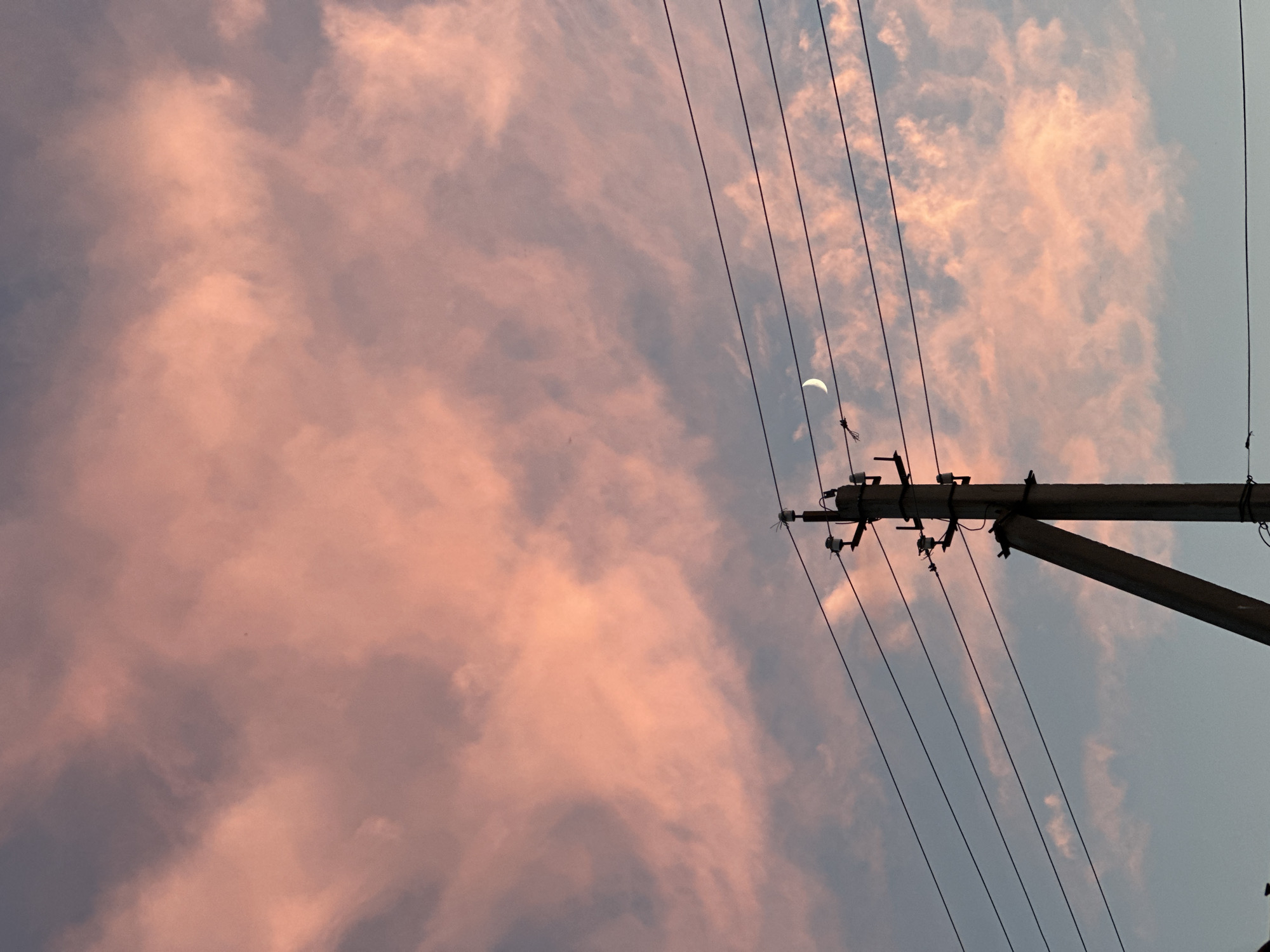 An overcast sky of pale pink and grey clouds is visible above power lines and a utility pole. A sliver of a crescent moon is visible in the upper right quadrant of the frame.