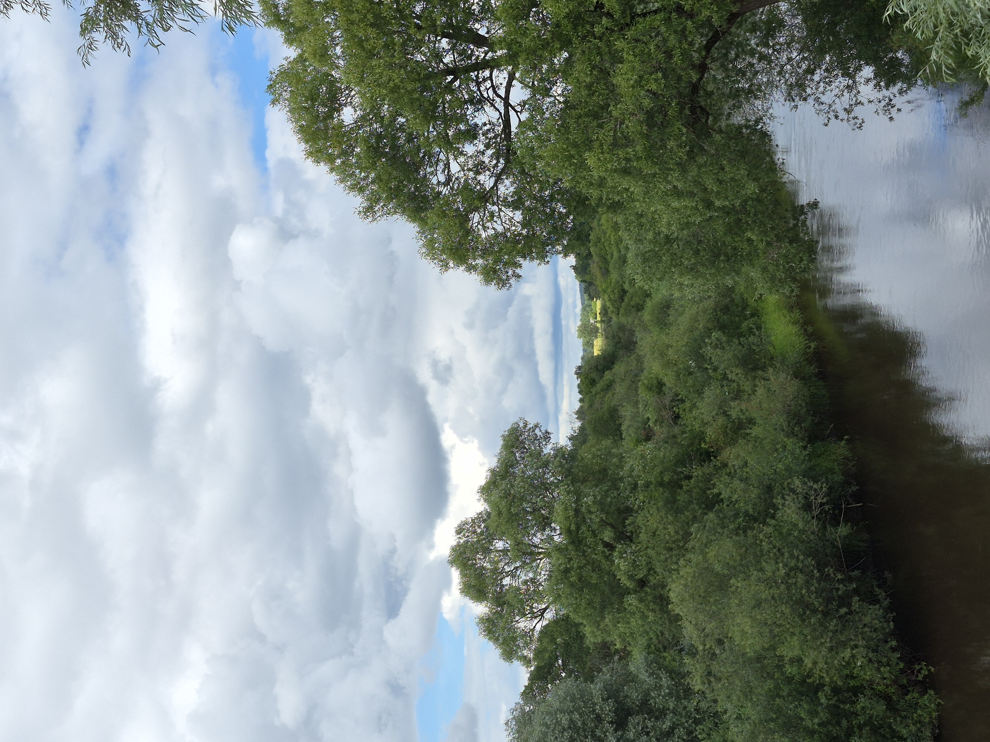 The image shows a serene natural landscape with a wide river flowing through lush green vegetation under a partly cloudy sky. The river occupies the lower portion of the frame, reflecting the sky and surrounding trees. On either side of the river, dense foliage consisting of various trees and bushes creates a thick, green embankment. In the background, the vegetation continues, with a hint of a distant open field or meadow visible on the horizon under the expansive sky filled with fluffy, white clouds interspersed with patches of blue. The scene is characterized by its natural beauty and tranquility. The location is Tsirgumäe, Estonia.