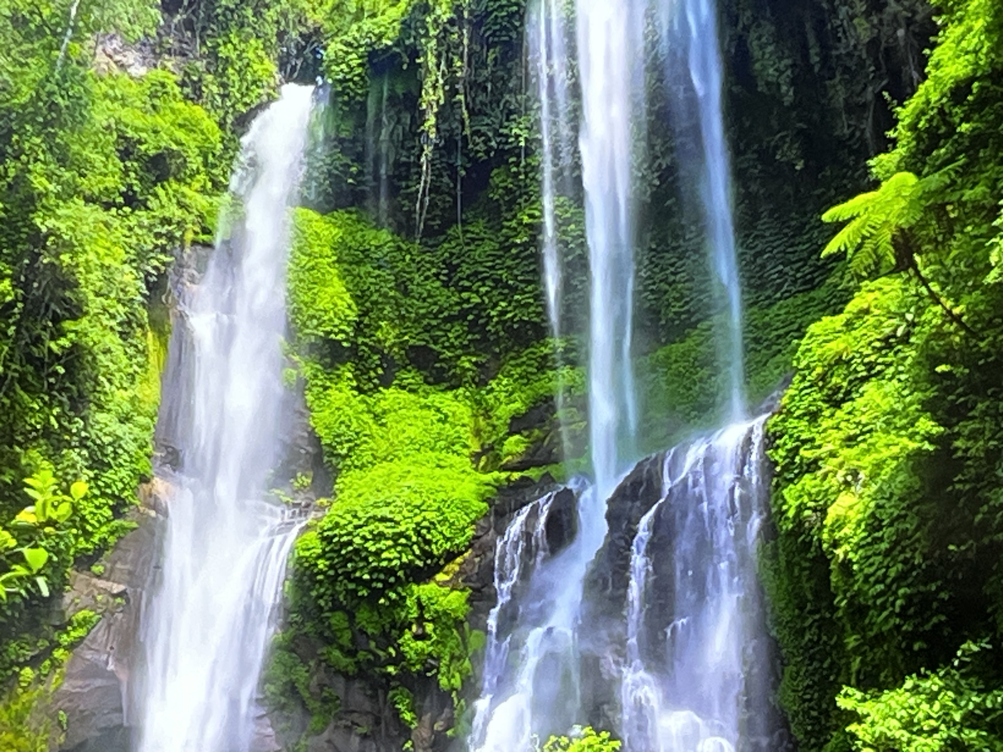 The image displays a majestic waterfall cascading down a lush, green mountainside. The water falls in multiple streams, appearing white and misty as it plunges into an unseen pool below. The surrounding cliffs are densely covered with vibrant green vegetation, including various types of plants and mosses. In some areas, vines hang down from the higher ledges, adding to the wild and natural appearance of the scene. A large fern frond is visible on the right side of the image, reaching out towards the viewer. The overall impression is one of a serene and untouched natural environment. There are no people or man-made structures visible in the image, suggesting a remote and wild location.
The prompt requested a description of the location in the city of Kharkiv, Ukraine. However, based on the visual evidence in the image, it is impossible to ascertain this specific location. The scene depicts a natural waterfall in a lush, possibly tropical or subtropical environment, which is not characteristic of Kharkiv, Ukraine. Therefore, no specific details regarding Kharkiv can be included in the description.