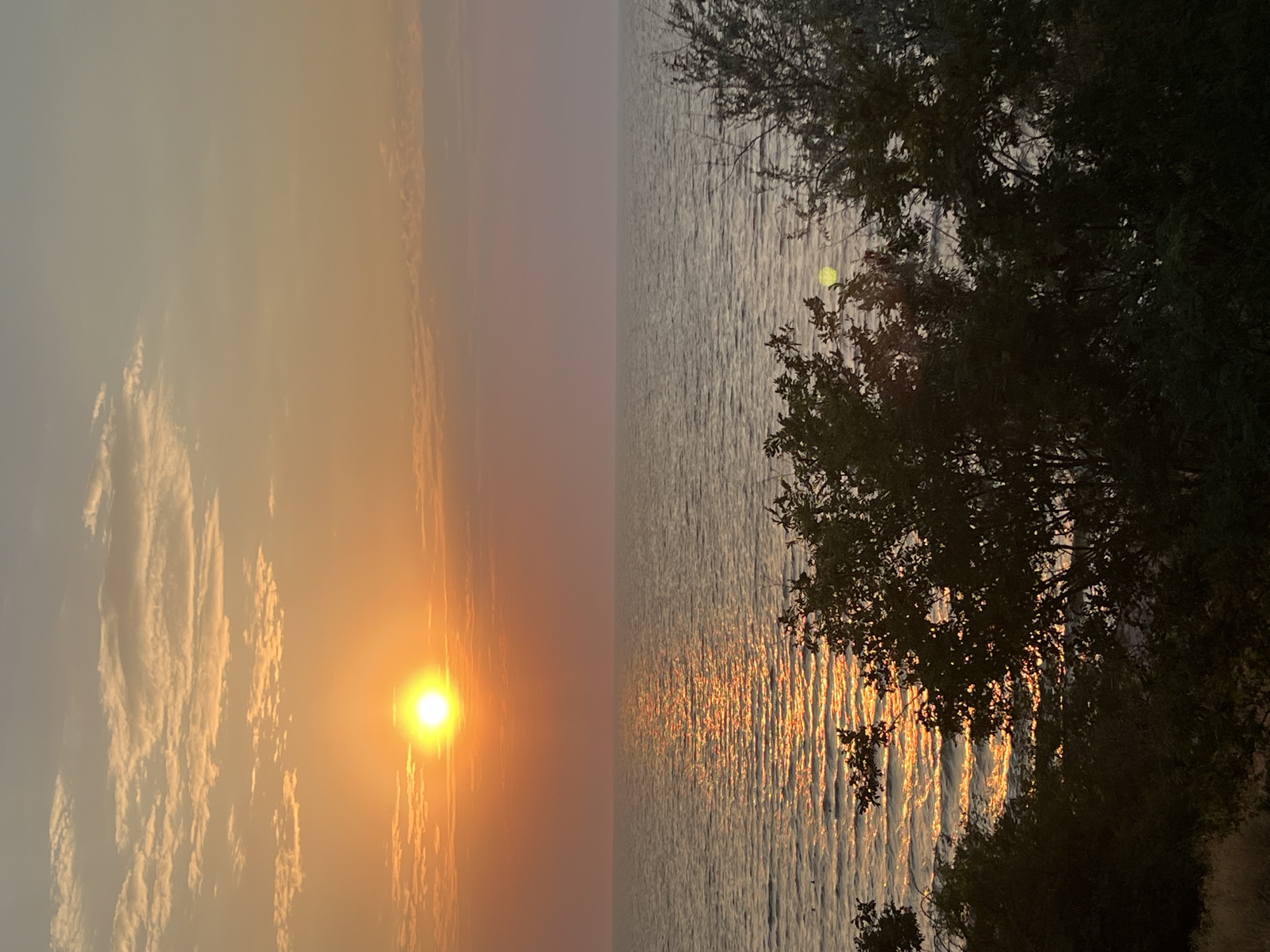 A serene sunset over the Sea of Azov in Yeysk, Russia, is captured in this vertical, full-frame photograph. The sun, a brilliant orb of orange, hangs low in the sky, casting a shimmering golden path across the water's surface. Wispy clouds, tinged with pink and orange, dot the horizon, creating a soft gradient that transitions into a pale blue sky overhead. The calm sea is a deep blue-grey, reflecting the warm hues of the sunset. In the foreground, the dark silhouettes of trees and foliage frame the scene, adding a sense of depth and natural beauty. The overall impression is one of tranquility and the quiet majesty of nature.