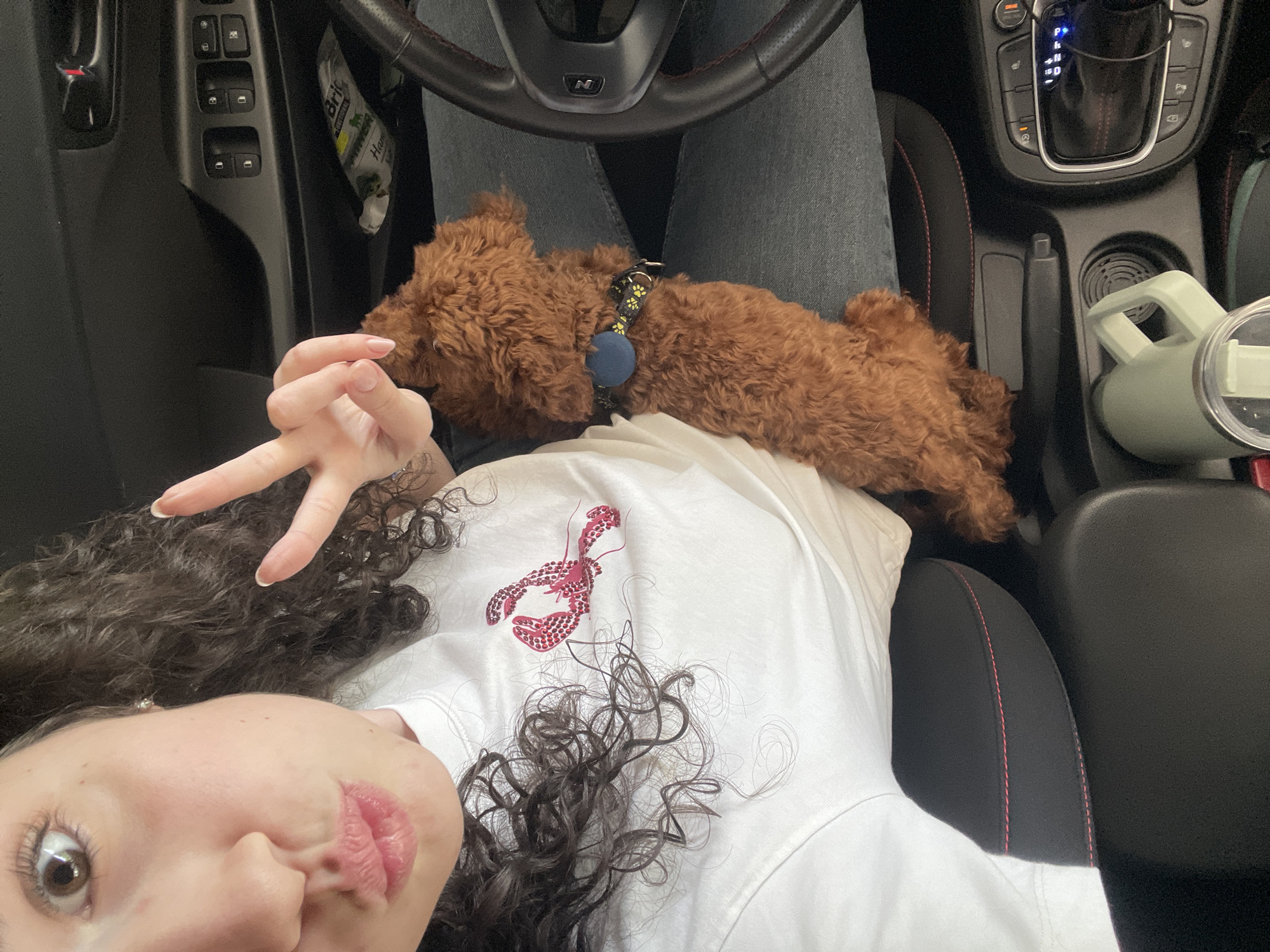 A woman lies in the driver's seat of a car with a brown poodle resting on her lap. She is making a peace sign with her left hand. The car's dashboard and gear shift are visible. There is a cup in the passenger's side cup holder. The woman wears a white t-shirt with a red lobster design. The location is not discernible.