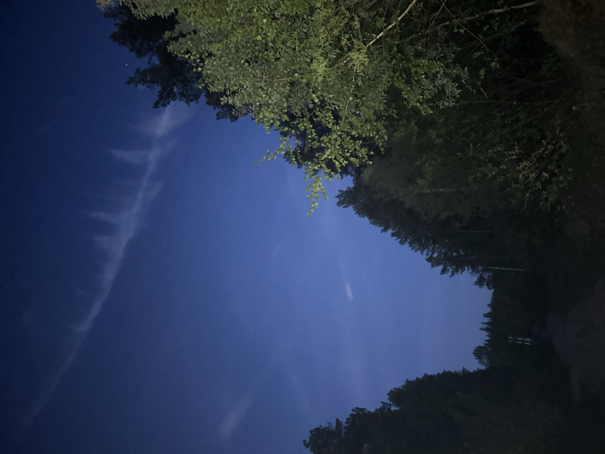 The image presents a night scene in Chaikovsky, Russia, with a view upward through trees toward the sky. The sky is a deep blue, with wispy clouds faintly visible in the left side of the frame. Trees frame the top and right of the image, and the bottom, their foliage dark and indistinct. The scene is generally dark, suggesting either a low-light environment or a photograph taken at night. There are no visible people or objects.
