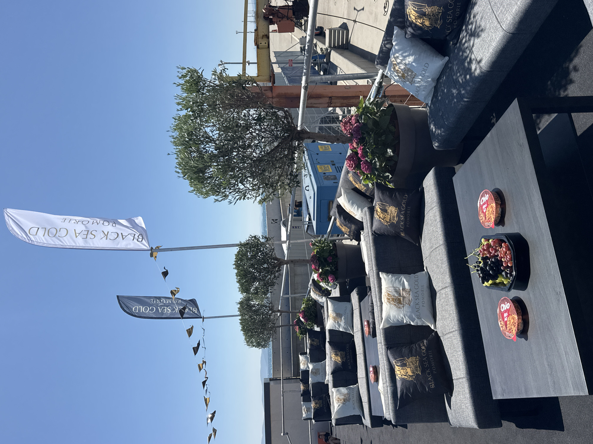 This is a high-angle, outdoor, eye-level shot of a seating area on what appears to be a deck or rooftop overlooking the sea in Pomorie, Bulgaria. The foreground features dark grey outdoor sofas with numerous decorative pillows. The pillows are black and white, each emblazoned with a golden image of a sailing ship and the text "BLACK SEA GOLD POMORIE". Two low, dark grey coffee tables are placed in front of the sofas. On the tables, there are two clear plastic containers with red lids, one containing round, dry, pasta-like snacks, and another filled with a variety of grapes, including red and dark purple varieties.
Behind the seating area, there are two potted olive trees with vibrant green foliage. Large planters containing pink flowers are visible near the trees. In the background, beyond the seating area, is a railing and then a wide expanse of the sea and sky. Several tall flagpoles stand in the distance, two of which display large white and dark blue flags respectively, both bearing the "BLACK SEA GOLD POMORIE" logo. A string of small, triangular flags hangs between two flagpoles. Further in the background, industrial equipment, including a blue generator unit and a yellow crane, are visible, suggesting a port or industrial area. The sky is clear and bright blue, indicating a sunny day. No people are prominently featured, though one person is partially visible in the far left background sitting on another sofa.