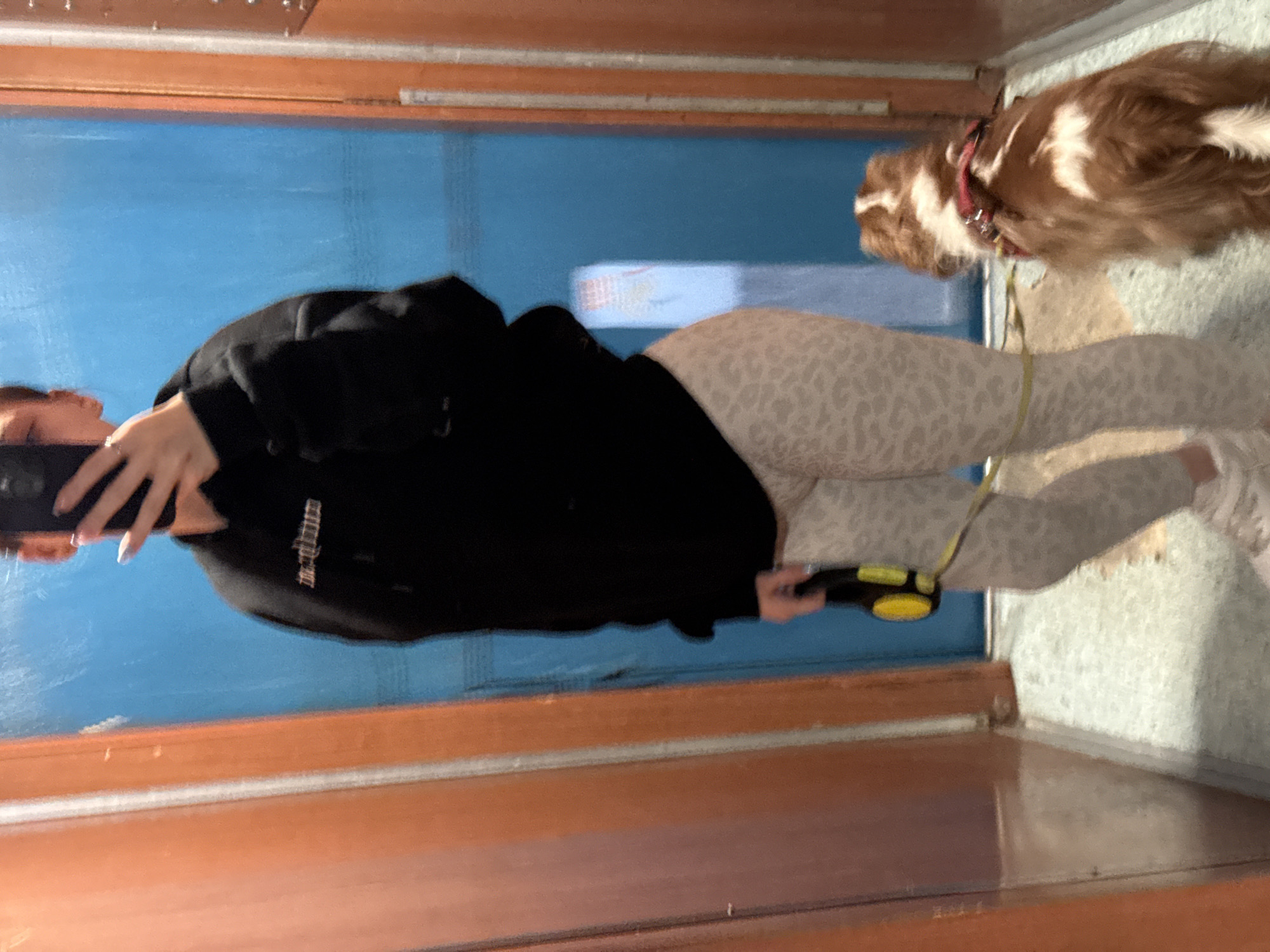 A woman wearing a black hoodie and patterned leggings is standing in what appears to be an elevator, taking a photo of herself in the mirror with her mobile phone. She is holding a yellow dog leash, which is attached to a brown and white dog. The elevator has blue paneling and wooden trim. Without further information, the location in Sofia, Bulgaria cannot be determined.