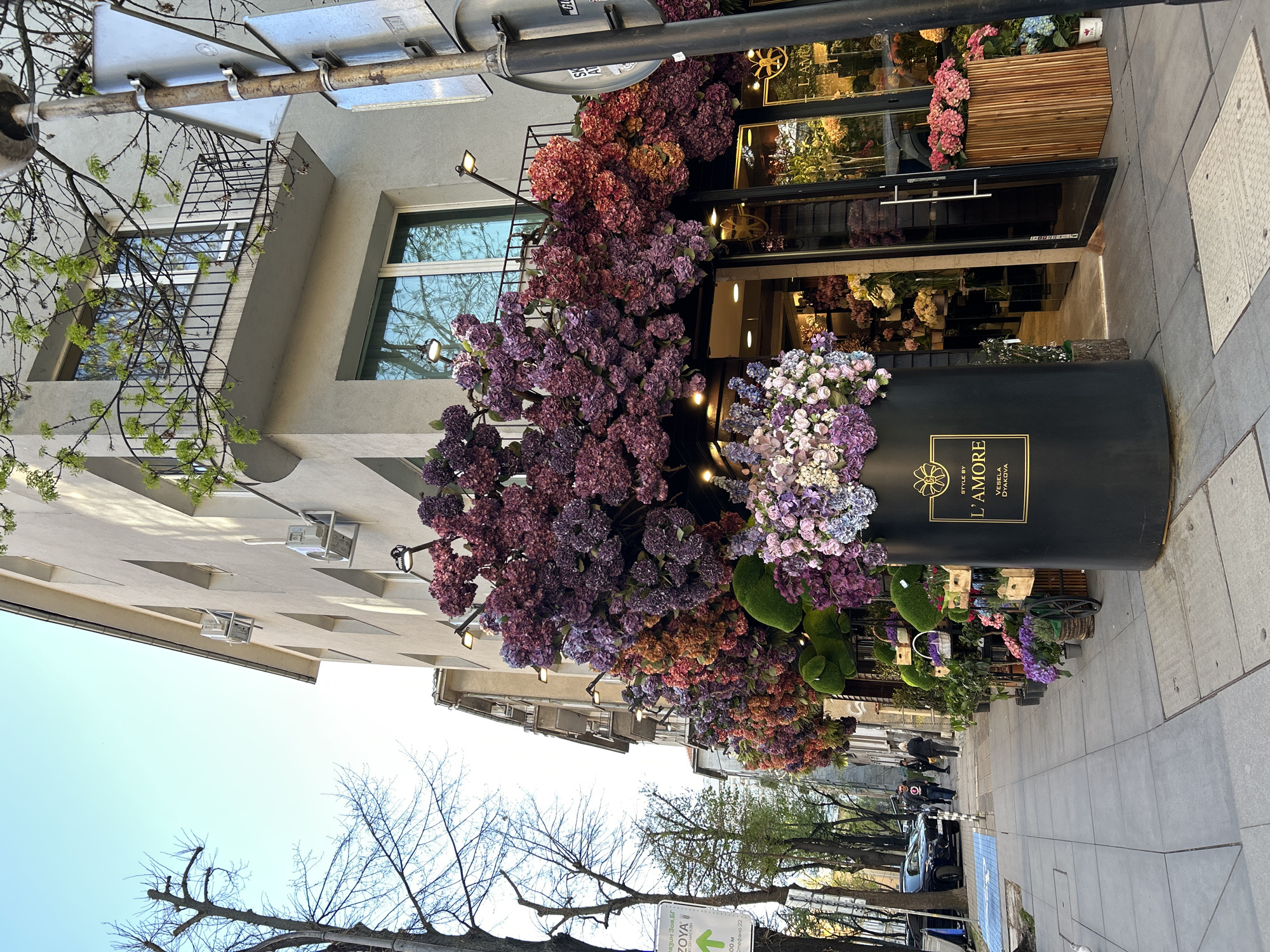 The image depicts a street scene in Sofia, Bulgaria, featuring the storefront of L'Amore flower shop. The shop is adorned with an extravagant floral arrangement of hydrangeas in shades of purple, pink, and white, overflowing from a black planter box labeled with the shop's name. The storefront is partially visible through the floral display, revealing a glass door and interior filled with more flowers. The building facade is light-colored with architectural details such as balconies and windows.
On the sidewalk, there are additional floral arrangements and potted plants displayed in front of the store. In the background, pedestrians are walking along the sidewalk, and cars are parked along the street. Bare trees are visible in the foreground and background, suggesting it may be early spring. A street sign with an arrow is visible in the lower left corner of the image.