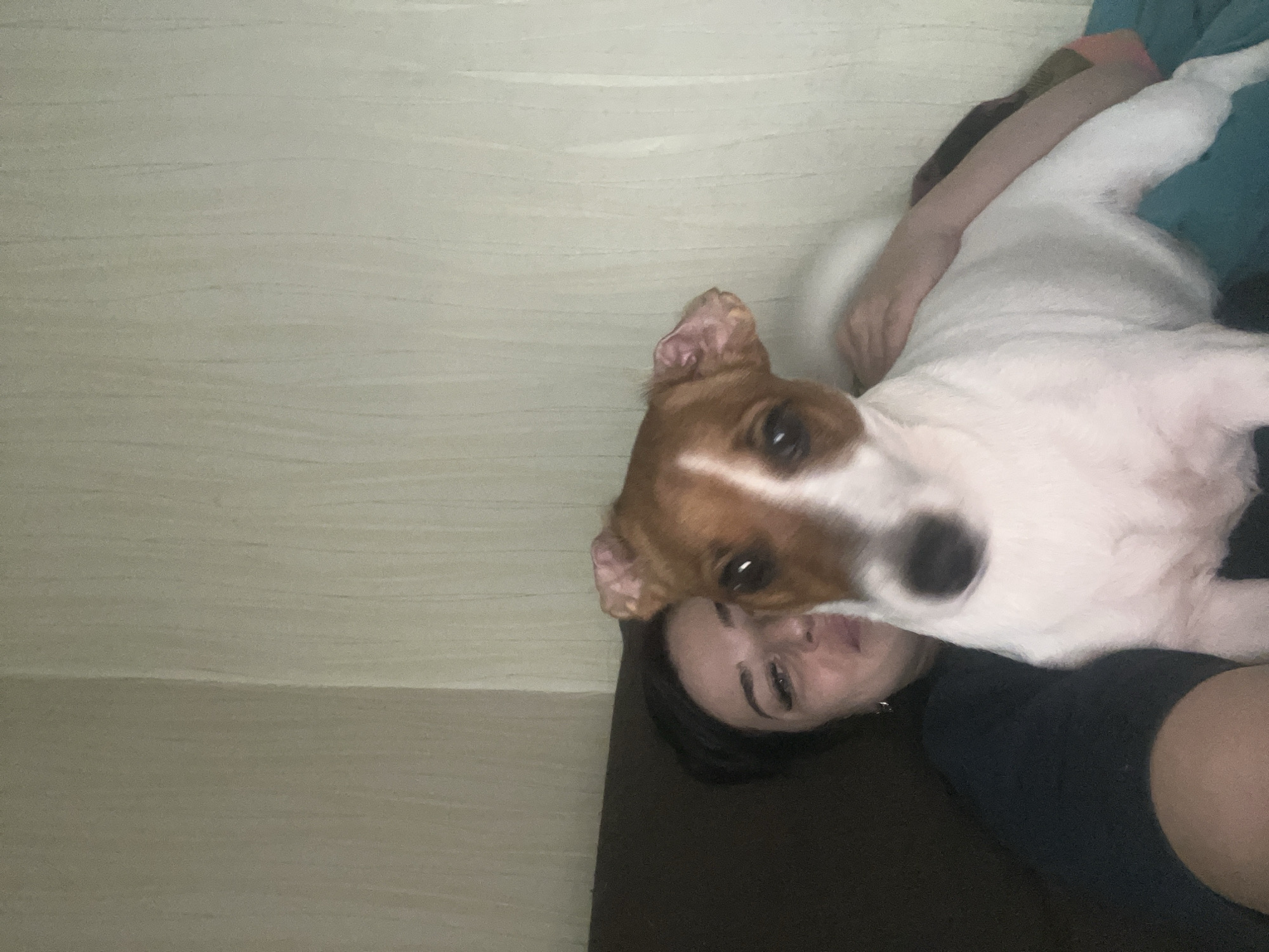 An indoor, close-up shot captures a person and a small dog, likely a Jack Russell Terrier, lying together. The image is rotated 90 degrees clockwise. The dog, predominantly white with brown patches on its head and ears, and a dark nose, is positioned close to the camera, with its face looking directly forward. Its ears are perked, and its eyes are dark and expressive. The person, with dark hair and well-defined eyebrows, is lying behind the dog, partially obscured but with a relaxed expression visible. One of the person's arms is visible, gently resting on the dog.
They appear to be on a dark upholstered surface, possibly a bed or sofa. The background consists of a plain, light beige or light grey wall with subtle horizontal striations, suggesting a textured wallpaper or painted surface. The lighting is soft and even, indicating an indoor setting without strong natural light, creating a calm and intimate atmosphere. No text is visible in the image. The scene conveys a sense of comfort, companionship, and affection between the human and the dog, situated in what appears to be a home in Chaikovsky, Russia.
