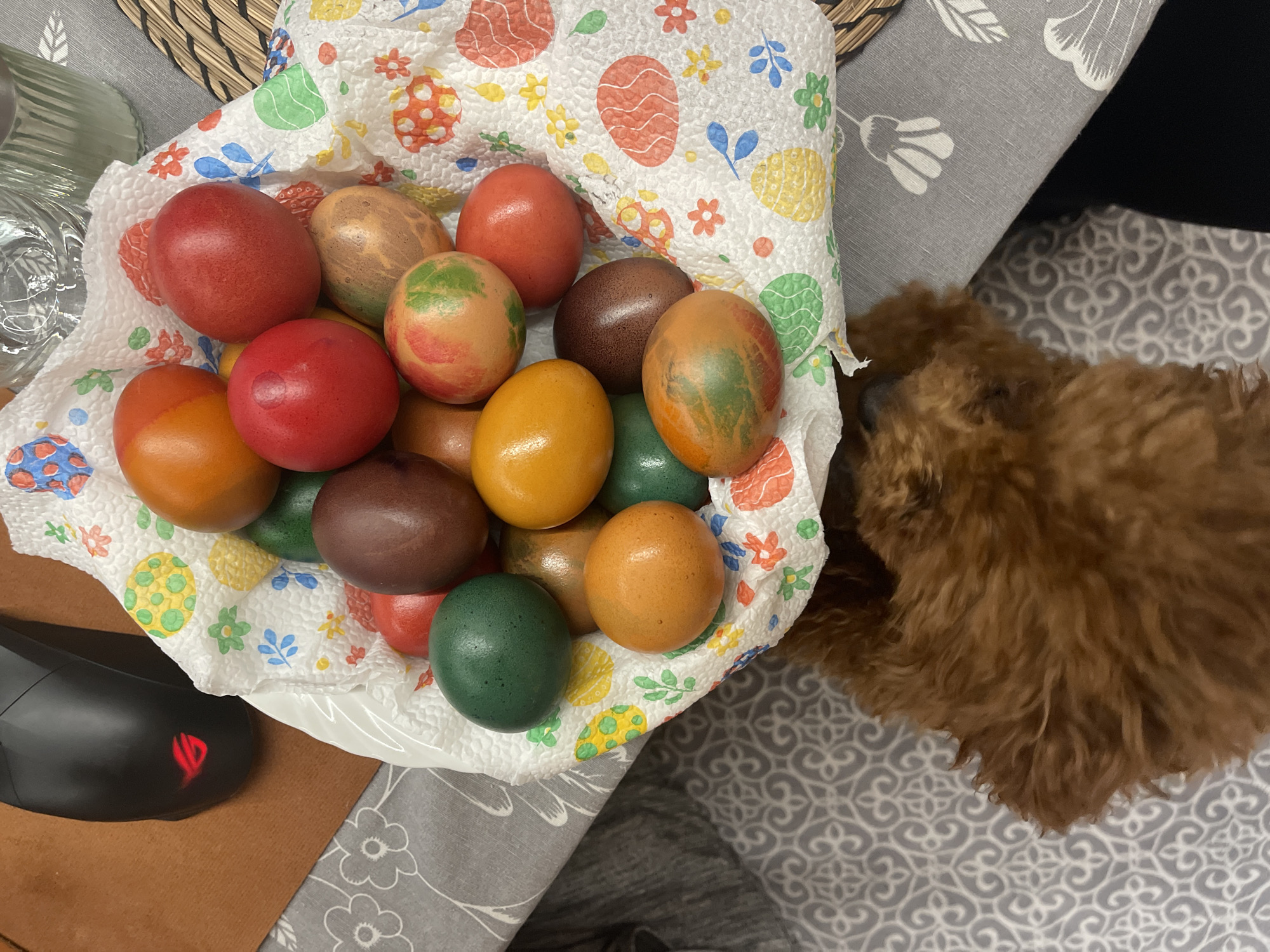 The image shows a basket filled with approximately 15-20 dyed Easter eggs in various colors like red, brown, green, and yellow. The eggs are resting on a white cloth with an Easter-themed pattern. Next to the basket is a brown poodle. To the left of the basket is a black ROG computer mouse. The surface beneath the basket and mouse appears to be a patterned tablecloth. The location is Sofia, Bulgaria. There are no people visible.