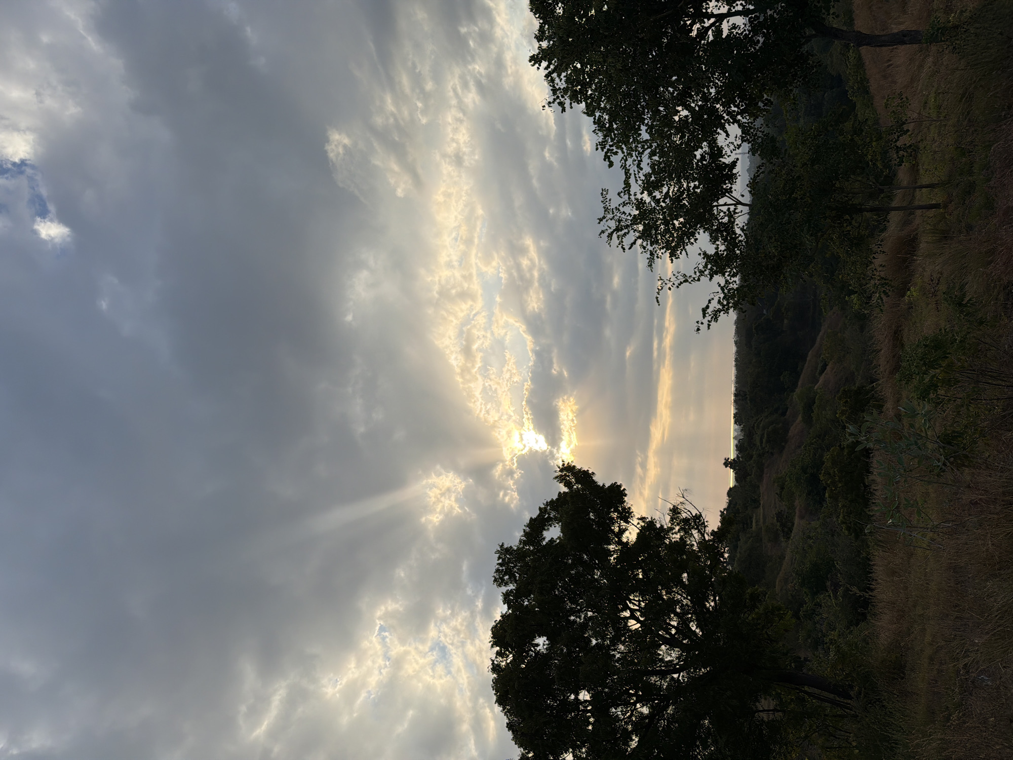 The image depicts a dramatic sky at dusk over a hilly landscape. Sunbeams pierce through a thick layer of grey and white clouds, casting a warm, golden glow on the horizon. Silhouetted trees frame the scene, with dark foliage contrasting against the illuminated sky. The foreground is covered in dry, golden grasses and low-lying vegetation. In the distance, a body of water is visible, likely the sea, with a hint of land beyond. The scene is serene and natural, suggesting a remote or undeveloped area. It is possible this is a view from one of the higher points in Kubutambahan, Bali, Indonesia, looking towards the northern coast as the sun sets. There are no people or animals visible in the image, nor any man-made structures, emphasizing the natural beauty of the landscape.