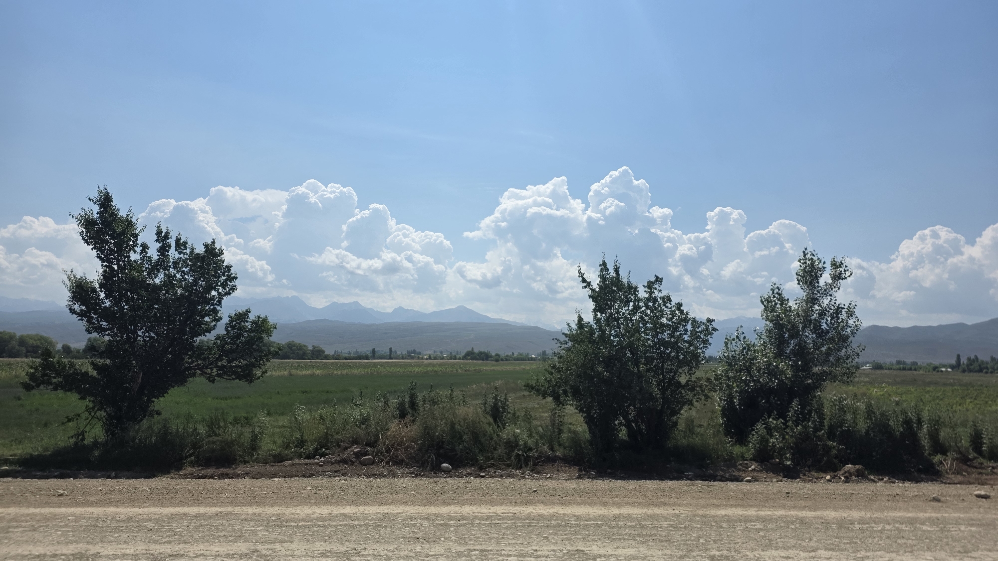 The image captures a wide, horizontal view of a rural landscape under a bright blue sky dotted with large, fluffy white cumulus clouds. In the foreground, a dusty, light brown dirt road runs across the bottom of the frame. Beyond the road, a strip of dry, wispy vegetation and some larger green bushes lead into a vast, green agricultural field.

Several trees are scattered throughout the scene. Two prominent trees stand on the left side of the image, one larger than the other, with dark green foliage. On the right side, a cluster of trees creates a denser patch of greenery. In the mid-ground, the expansive field stretches out, with subtle variations in its green hues.

In the distance, a range of hazy, muted purple mountains forms the horizon. The sky is a clear, vibrant blue, with the sun's rays casting a bright light. There are no people, animals, or vehicles visible in the image. The scene depicts a peaceful, natural environment, likely in the countryside. Given the information, this scene is consistent with the natural beauty found in and around the city of Jeti Oguz, Kyrgyzstan, known for its picturesque valleys and mountain ranges.