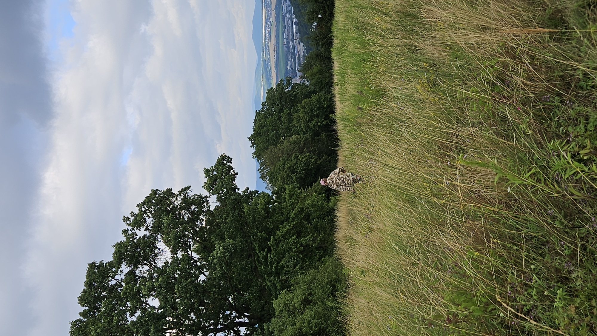 The image depicts a person in camouflage attire standing in a field of tall dry grass, facing away from the viewer. The person is positioned in the mid-ground of the frame. To the left, a large, mature tree with dense green foliage dominates the scene. Behind the person and the field, a line of trees forms a natural boundary, beyond which a city is visible in the distance. This city, identifiable as Prešov, Slovakia, is nestled in a valley with buildings and infrastructure apparent. The sky above is overcast with dramatic, grey clouds, suggesting a potentially unstable weather day. The overall environment is natural, with a focus on the field, vegetation, and the distant urban landscape.