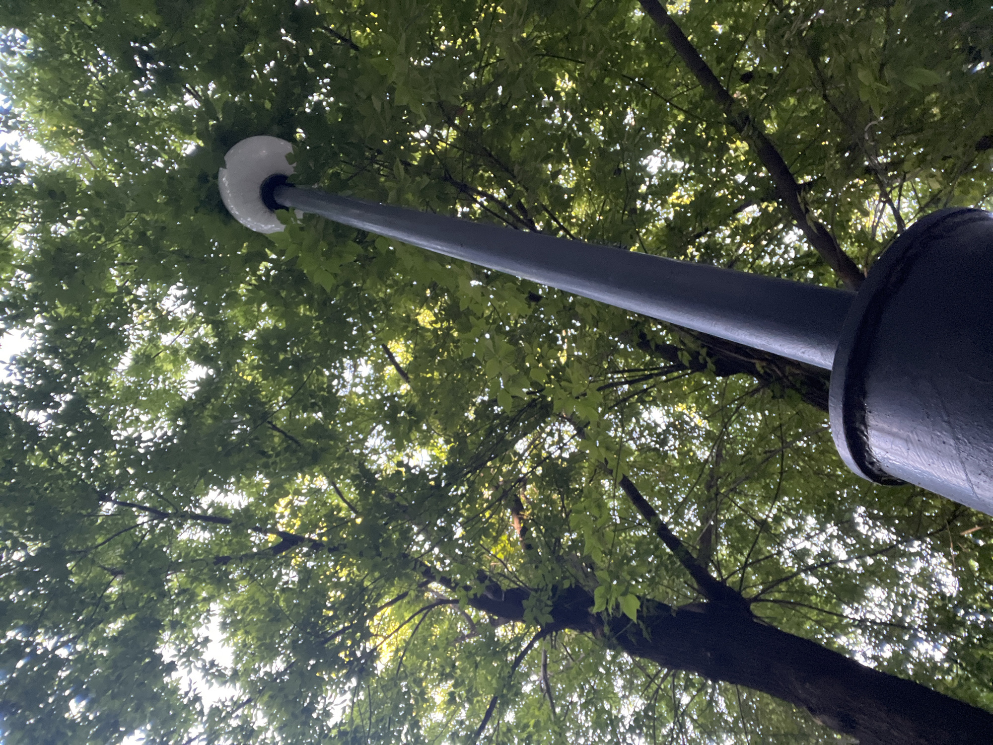 A low-angle, upward shot captures a street lamp pole extending into a canopy of lush green trees. The lamp itself, a white, rounded fixture, is partially obscured by leaves. The pole is dark gray, with a thicker, dark cylindrical base visible in the foreground on the right. Sunlight filters through the dense foliage, creating a dappled effect and illuminating the leaves with bright highlights. The trees are the dominant element, their branches crisscrossing and creating a natural ceiling above. The overall impression is one of being outdoors in a park or wooded area on a bright, possibly sunny day, with the sky visible only as glimpses of light through the leaves. No people or text are visible. The scene conveys a sense of natural beauty intertwined with urban infrastructure.