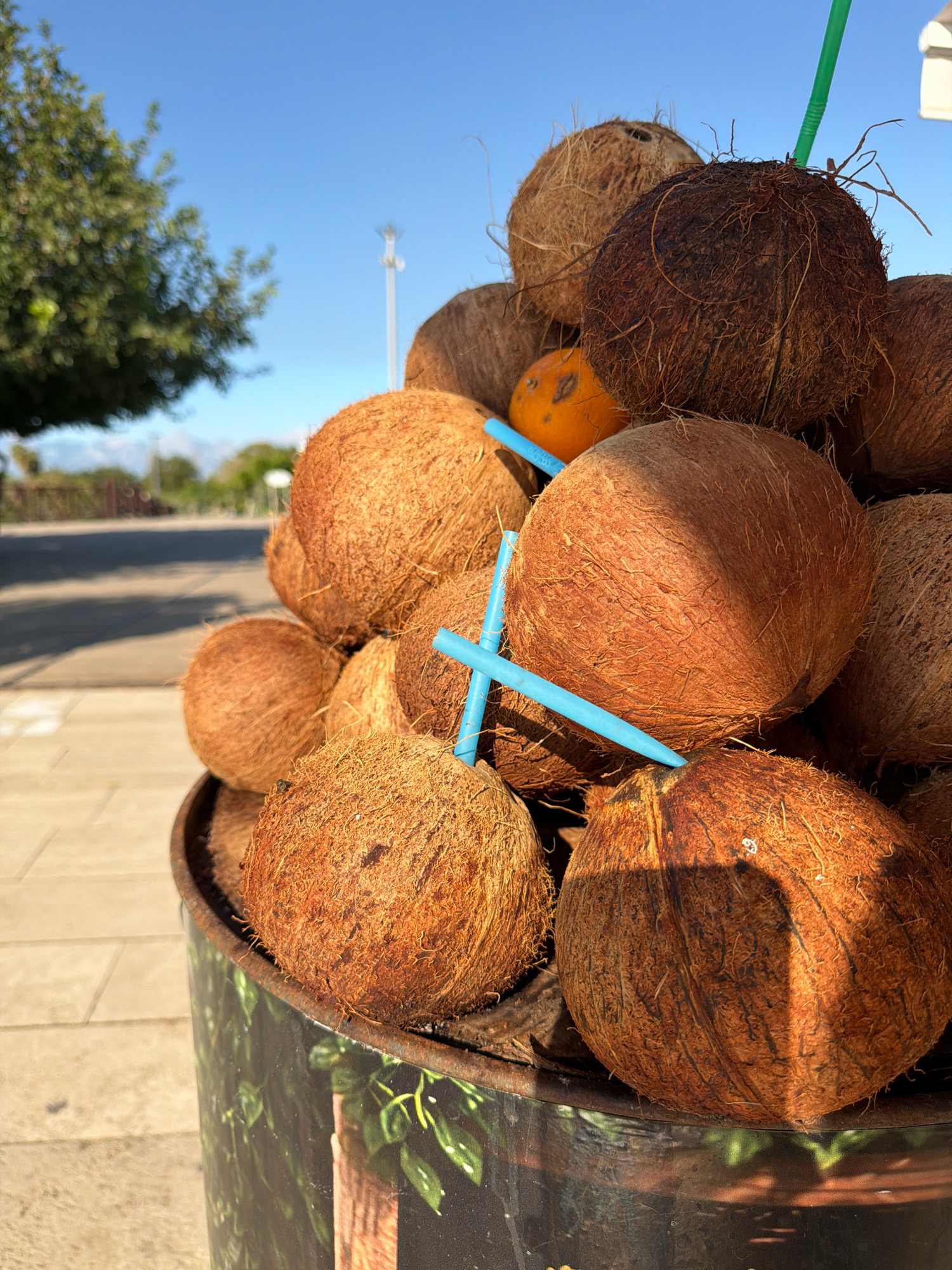 A close-up, low-angle outdoor shot captures a pile of coconuts overflowing from a decorative, cylindrical bin. The bin, adorned with a green leafy pattern, sits on a textured, light-colored tiled surface. In the foreground, several coconuts are visible, some with visible fibers. Two blue plastic straws are inserted into coconuts, and a single green straw protrudes from a darker, more fibrous coconut at the top. Behind the coconuts, a blurry background shows a paved walkway, a road with a hint of traffic, a lush green tree, and a clear blue sky. In the distance, a white pole with equipment is visible, likely a utility pole or antenna, typical of urban environments. The scene is illuminated by bright sunlight, casting distinct shadows across the coconuts and the ground. This setting is consistent with a street-side vendor in a coastal city like Antalya, Turkey, likely offering fresh coconut water. No people are present in the frame.