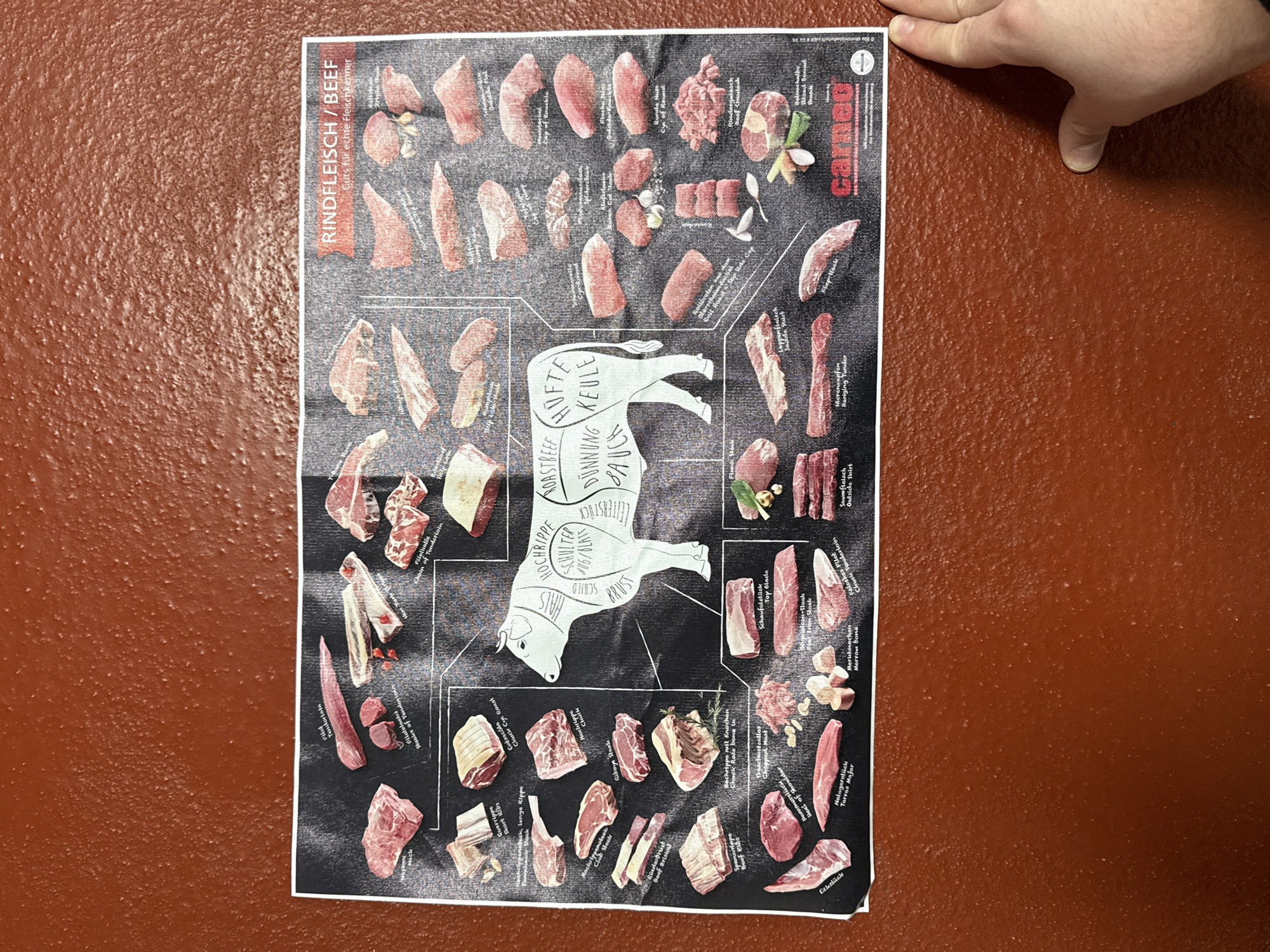 A detailed poster showcasing various cuts of beef is prominently displayed, held by a person's hand in the upper right corner. The poster rests on a textured, reddish-brown surface, likely a wall or large table.
The poster itself features a dark, charcoal-like background with a stylized white outline of a cow, illustrating different primal cuts labeled in German, such as "HOCHRIPPE," "SCHULTER," "BRUST," "DÜNNUNG," "BAUCH," "KEULE," and "HÜFTE." Surrounding the cow diagram are individual photographs of various beef cuts, each accompanied by its name in both German and English. Examples of visible text include "Falsches Filet / Chuck Tenderloin," "Schaufelstück / Top Blade," "Hüftsteak / Sirloin Steak," "Entrecôte / Rib Eye," "Filet / Tenderloin," "Marrow bone," "Hanging Tender," and "Teres Major." Some cuts are depicted with garnishes like garlic, rosemary, and chili.
The top left of the poster clearly states "RINDFLEISCH / BEEF" and "Cuts für echte Fleischkenner" (Cuts for true meat connoisseurs). A red logo with the word "carned" is visible in the bottom right. The human hand suggests the poster is being examined, unrolled, or prepared for display. The scene is well-lit, providing clear visibility of the intricate details on the informative poster.