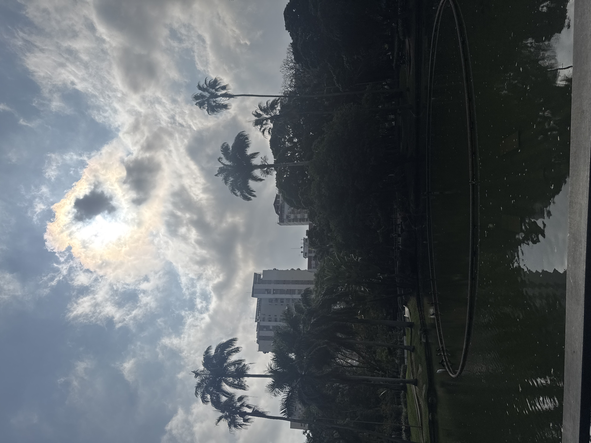 The image depicts a slightly overcast sky with the sun partially obscured by clouds, suggesting it is daytime. Several palm trees are visible, with their fronds reaching towards the sky. In the background, modern buildings rise above a dense line of trees, indicating an urban or semi-urban setting. A dark body of water, possibly a pond or lake, occupies a significant portion of the right side of the frame, reflecting the surrounding environment and sky. A circular structure, likely a fountain or decorative element, is submerged in the water. The overall scene conveys a sense of nature within an urban landscape. There is no visible text in the image.