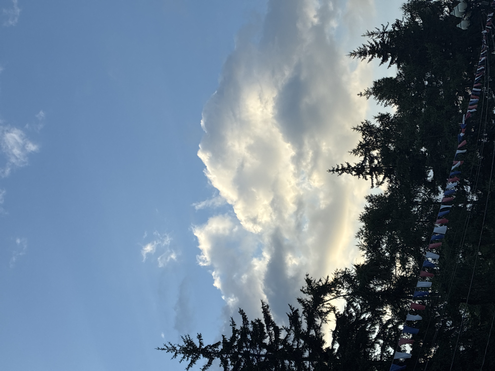 The image captures a view of tall evergreen trees silhouetted against a sky filled with scattered clouds. A string of small, colorful flags hangs horizontally in the foreground, draped across the trees. The flags appear to be red, white, and blue. The overall scene suggests an outdoor setting, possibly a park or a street lined with trees. The lighting indicates it might be late afternoon or early evening, with the sun casting a warm glow on the clouds. The location of this scene within Irkutsk, Russia, is not specified.