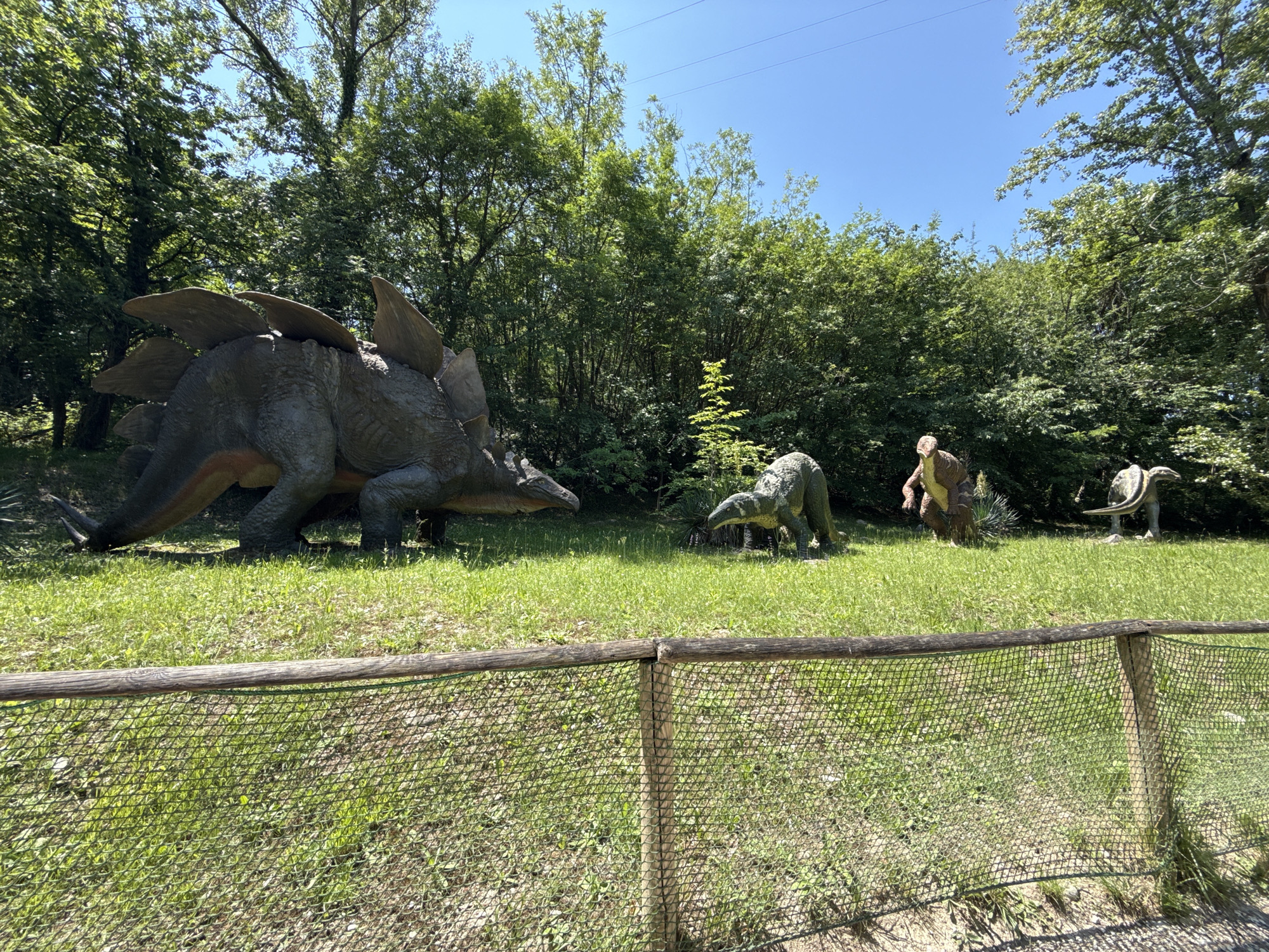 The image captures a dinosaur park setting in Bussolengo, Italy, featuring four dinosaur statues of different species displayed behind a low wooden and wire mesh fence. A large Stegosaurus dominates the left side of the frame. To the right are three smaller dinosaur models, including one standing on its hind legs. The statues are set in a grassy area with trees and foliage in the background. The sky is blue and sunny.