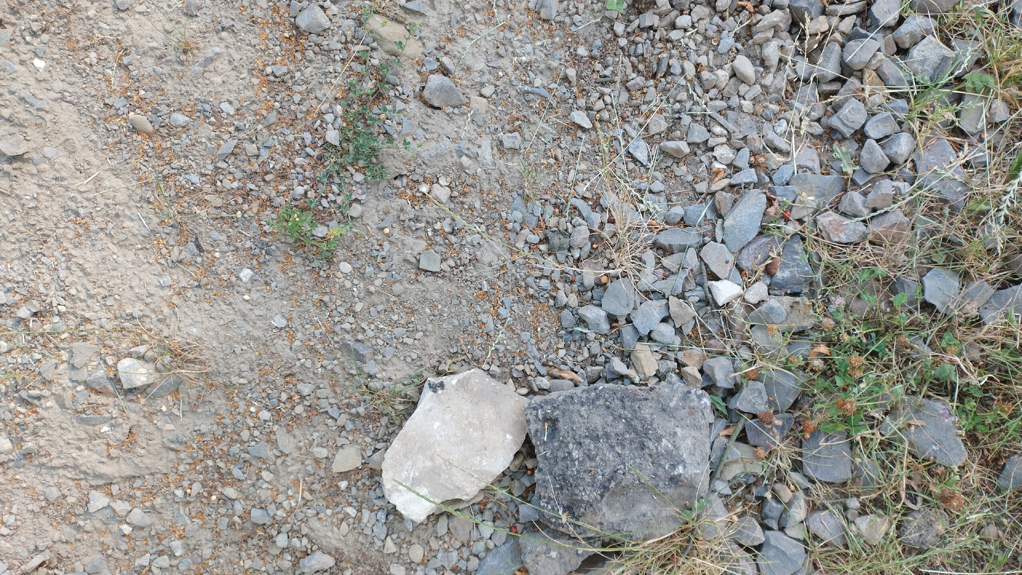 The image is a close-up, overhead shot of a rough, uneven ground surface composed of soil, small pebbles, and larger stones. The ground is divided into two distinct areas: a lighter, sandy patch on the left, and a darker, more gravelly area on the right. Sparse, dry grass and a few small green plants are interspersed throughout the scene, particularly on the right side. Two larger, prominent stones are located in the lower-middle section of the image. The stone on the left is a light, irregular shape, while the one on the right is darker and more rectangular. The lighting suggests it is daytime, possibly outdoors. There is no visible text or discernible activity.