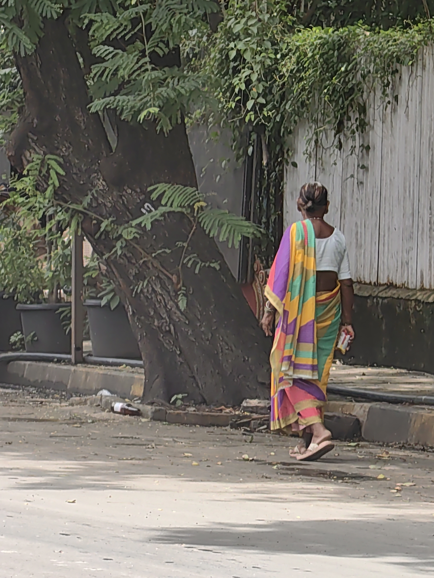 A woman is walking away from the camera, on a street in Mumbai, India. She is wearing a white blouse and a colorful sari with stripes of pink, yellow, purple, green, and blue. Her hair is pulled back in a bun. She is holding a small rectangular object in her right hand. There is a large tree to her left, with lush green foliage. In the background, there is a light-colored wooden fence covered in vines. The street is paved and appears somewhat worn, with some debris and a discarded bottle visible near the curb. Several large dark planters with plants are also present. The scene is outdoors, likely during the day, with dappled sunlight suggesting trees providing shade.