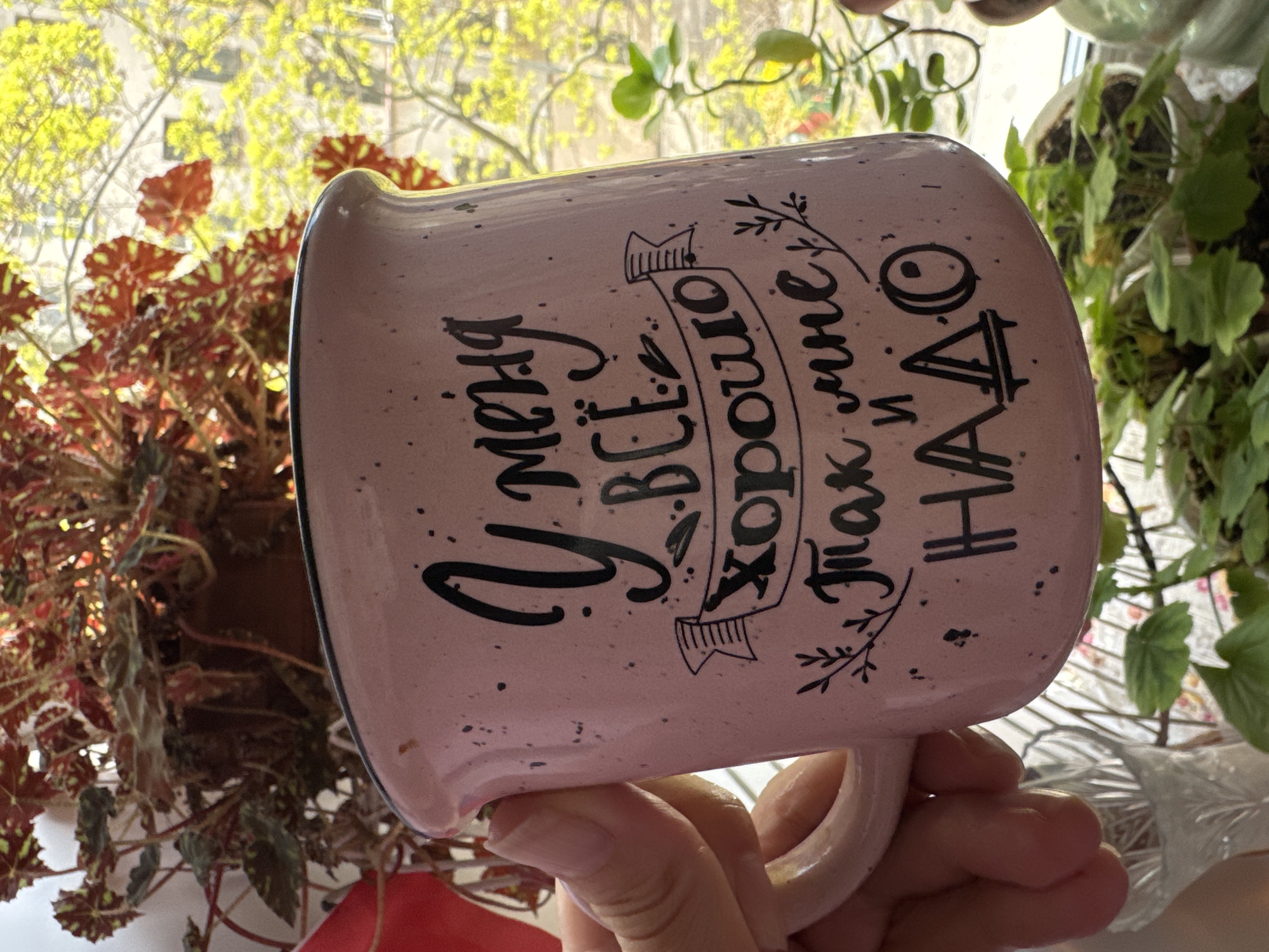 A hand holds a pink mug with Russian text in front of plants. The mug's inscription says "У меня всё хорошо так мне и надо" (Everything is fine with me, that's what I need). The location is suggested to be in Saint Petersburg, Russia, but that can not be determined by this image.