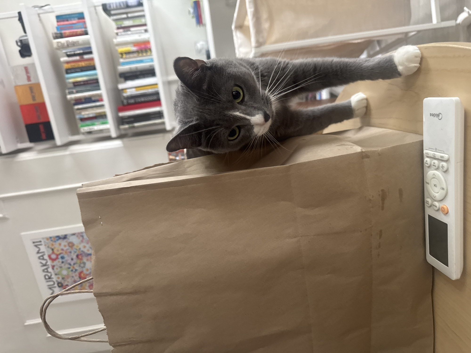 The image shows a grey and white cat standing next to a brown paper bag on a wooden table. The cat is looking towards the viewer with green eyes. A white remote control is also on the table in front of the bag. In the background, there is a bookshelf filled with books and a framed piece of art on the wall. A laundry hamper is visible to the right of the cat. The scene appears to be indoors, in a residential setting. There is no specific indicator of the city or country.