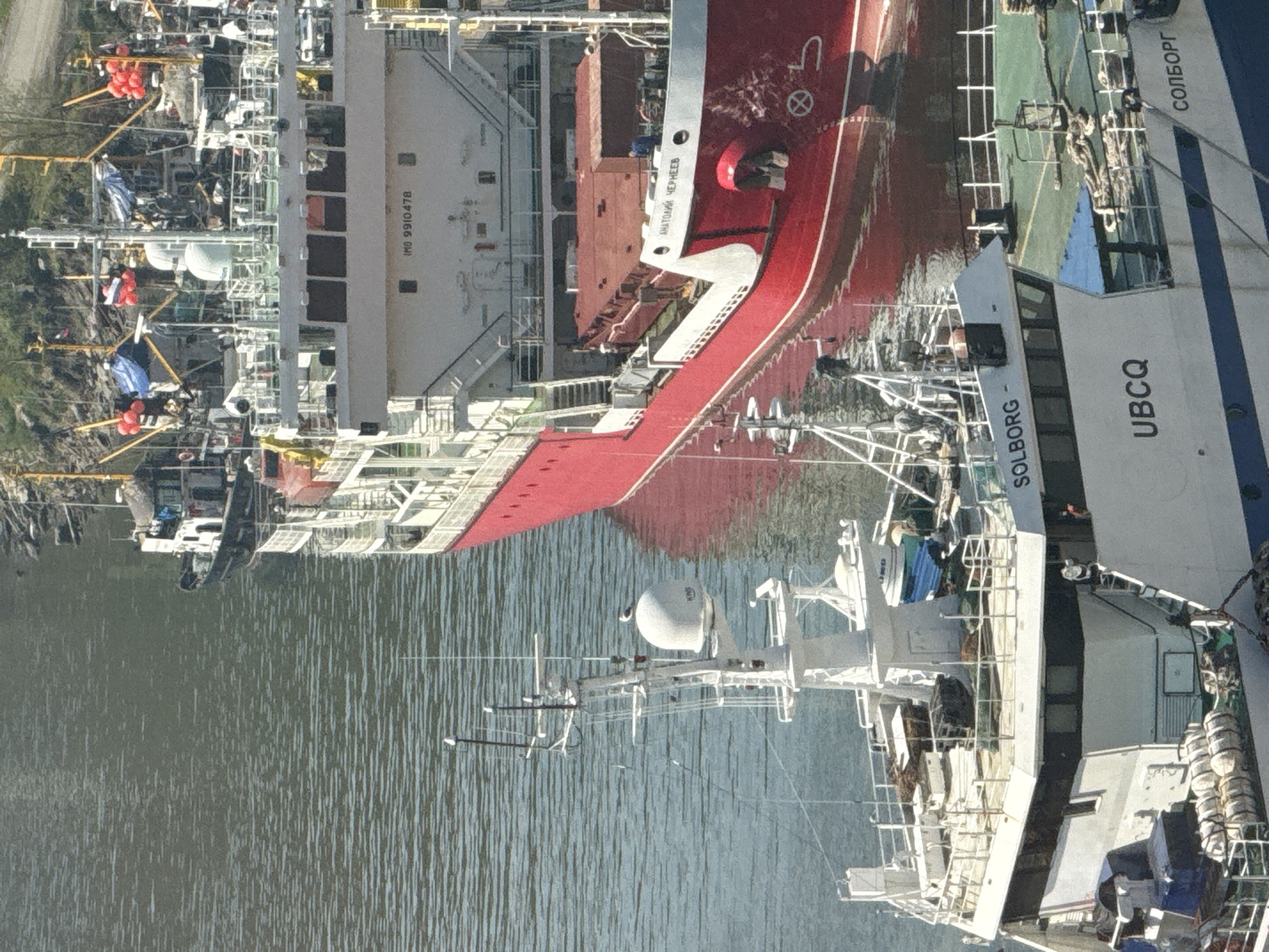 The image captures a detailed view of a bustling harbor in Petropavlovsk-Kamchatsky, Russia, under clear daylight conditions. Multiple vessels of varying sizes are docked on calm, slightly rippled water, with distant land visible in the background.
In the immediate foreground and lower section of the image, a large white and blue-hulled vessel, identified as "SOLBORG" in Latin script on its superstructure and "СОЛБОРГ" in Cyrillic on its hull, dominates. Its international call sign "UBCQ" is prominently displayed on the side of its cabin structure. The vessel's white mast is intricate, equipped with multiple antennas and radar domes; a white bird, resembling a seagull, is perched atop one of the spherical radar domes. The deck carries various fishing-related equipment, including stacks of white cylindrical buoys/fenders, ropes, and what appears to be a small blue workboat or container on an upper deck.
In the midground, a substantial red and white-hulled ship is docked parallel to the foreground vessel, reflecting clearly in the water. The name "АНАТОЛИЙ ЧЕРНЕЕВ" (Anatoly Cherneev) is visible in white Cyrillic script on its stern. The IMO number "9910478" is marked on its white superstructure below the bridge windows. The vessel features open cargo hatches with reddish-brown covers, suggesting it is either loading or unloading. One individual, dressed in blue, is visible on deck near the cargo area, engaged in activity. A distinctive white circular marking is present on the red hull near the waterline at the stern.
In the upper right background, beyond the red and white ship, several smaller vessels are clustered near a green and brown shoreline. These smaller boats appear to be fishing vessels, characterized by multiple masts, booms, blue tarps, and clusters of red spherical buoys. A small, dark-hulled boat with a white cabin is partially visible directly at the water's edge in this area. The distant land consists of uneven, vegetated terrain.
