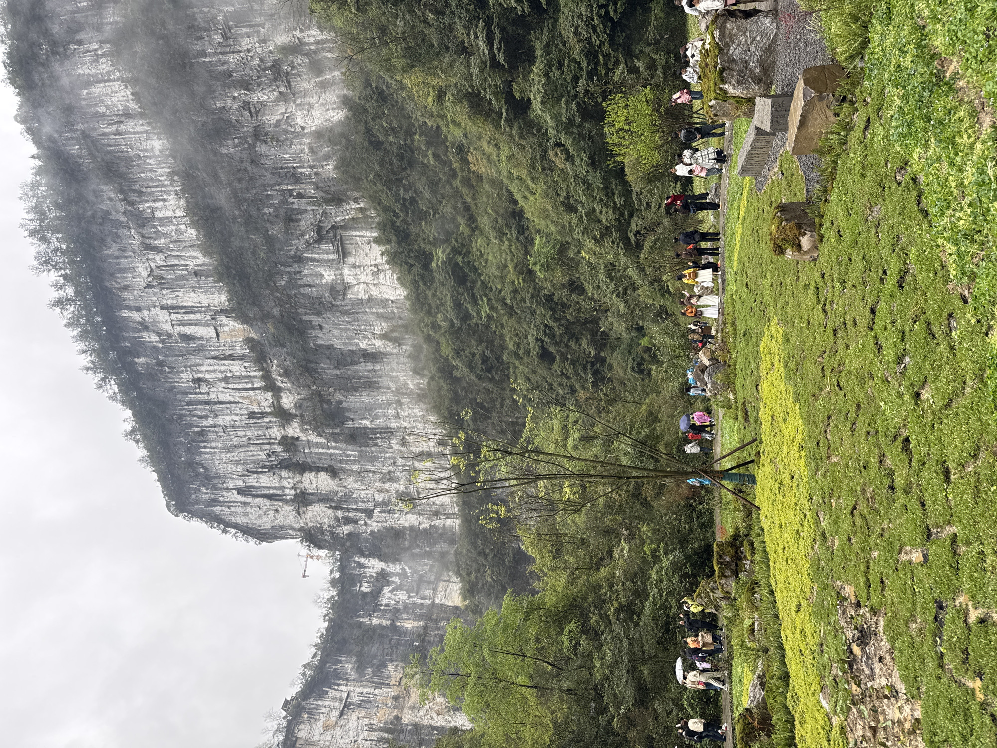 The image shows a large rock face, possibly a cliff or mountain, shrouded in mist or fog. The rock face is a pale gray color. At the base of the rock face is dense vegetation, primarily trees and shrubs.
To the right of the rock face, a line of people is visible. They are standing on an area covered in grass. Some people carry umbrellas.
The location is likely in the Wulong District, China, given the landscape and style of architecture, possibly a scenic area known for its karst landscapes.