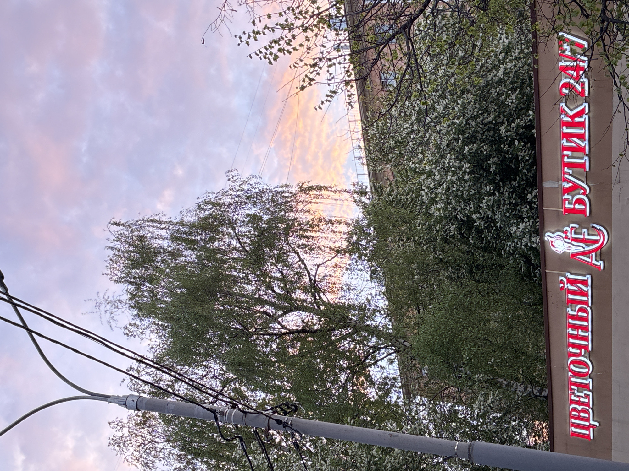 The image shows an upward-looking view with a flower shop sign in Russian, specifically “ЦВЕТОЧНЫЙ АЕ БУТИК 24/7”, indicating a 24/7 flower boutique named “AE”. The sign is attached to a building exterior, which is adjacent to a tree full of white flowers. In the foreground and lower left, there is a utility pole with wires. The sky is visible in the background, showing a sunset or sunrise with pastel colors, including pink, purple, and orange hues. The scene appears to be in an urban setting, likely in Moscow, Russia, based on the language of the sign.
