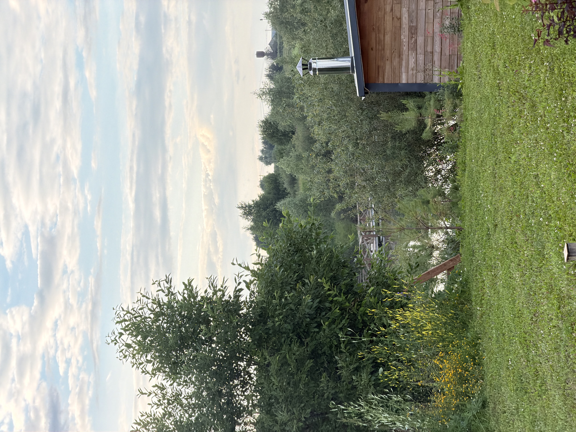 The image depicts a serene outdoor scene with a lush green lawn in the foreground, dotted with small white flowers. Behind the lawn, a variety of trees and foliage create a dense, natural backdrop. To the right, a portion of a wooden building with horizontal siding is visible, topped with a shiny, metallic chimney. In the mid-ground, a body of water, likely a lake or river, is partially obscured by the greenery, with a wooden bridge structure extending across it. Further in the distance, more trees form a rolling landscape, and a water tower with a dark, cylindrical structure is visible against the sky. The sky itself is a pale blue, streaked with soft, horizontal clouds. The overall impression is one of a quiet, rural or semi-rural setting, possibly in the village of Bol'shaya Ven'ya, Russia, characterized by its natural beauty and simple man-made structures. No people are present in the image.