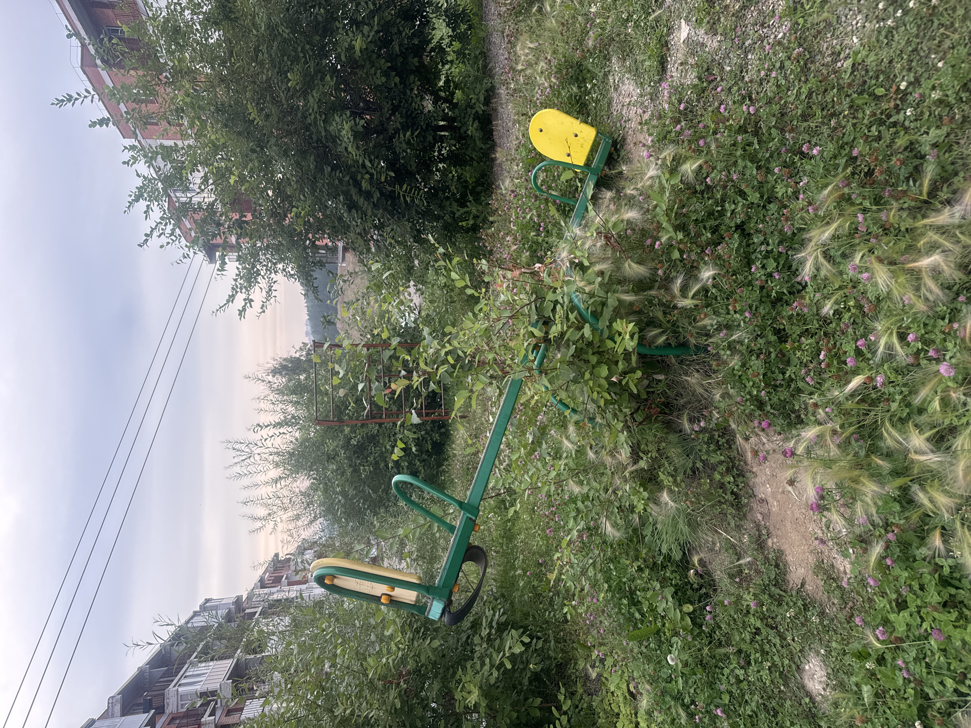 A green and yellow seesaw is partially overgrown with vegetation in a park area in Markova, Russia. The seesaw is situated on a patch of dirt surrounded by grass, clover, and other plants. In the background, there are apartment buildings, trees, and power lines. The sky is overcast.