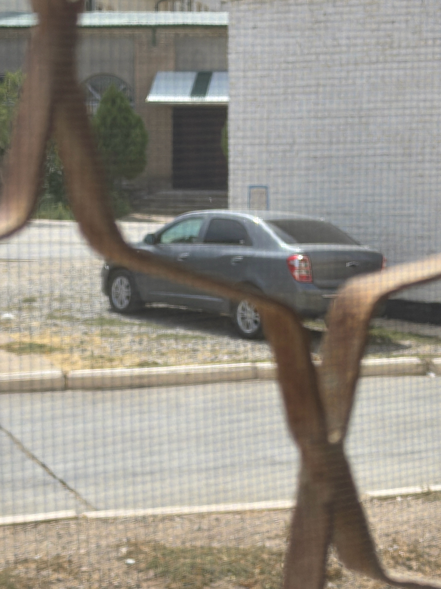 A grey sedan is parked on a street in Zarafshan, Uzbekistan. The car is in front of a light-colored building with a dark entryway. A green tree is visible to the left of the building. The street is paved with a grid pattern, and there is some grass and dirt on the side of the road. The image is taken through a screen or mesh, which creates a blurred effect and a grid pattern overlay on the scene. The foreground shows blurred, brown, branch-like shapes.