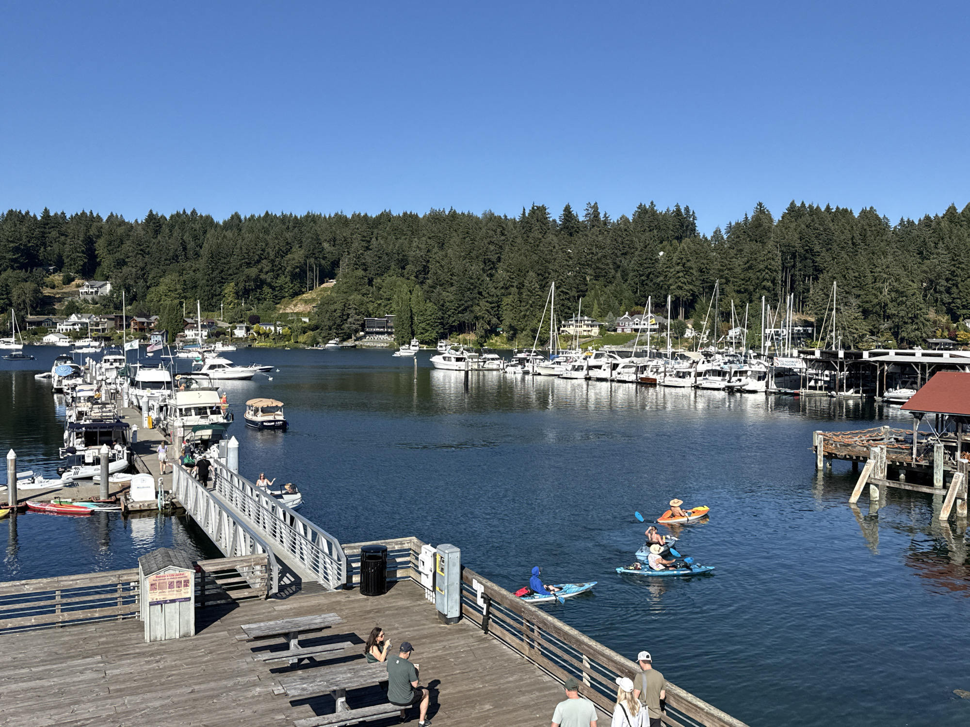 The image depicts a sunny day at Gig Harbor, Washington, a waterfront community in the United States of America. The foreground features a wooden pier with several picnic tables and people. A woman in a green shirt and a man in a dark green shirt are seated at a picnic table, while another couple stands near the railing, facing away from the camera. Further down the pier, another man in a white hat and olive green shirt walks with two women.
The middle ground shows a marina filled with numerous docked boats, primarily white yachts and sailboats. A metal walkway leads from the pier to the marina. Several people are visible on the walkway, with some disembarking from boats.
In the water, there are people kayaking and paddleboarding. One individual is on a yellow kayak, another on a blue kayak, and two more are on a paddleboard. A small motorboat is also present in the marina.
The background is dominated by a dense forest of evergreen trees covering the hillside, with scattered houses visible among the trees. The sky is a clear, vibrant blue. The overall scene suggests a recreational atmosphere in a picturesque coastal town.
