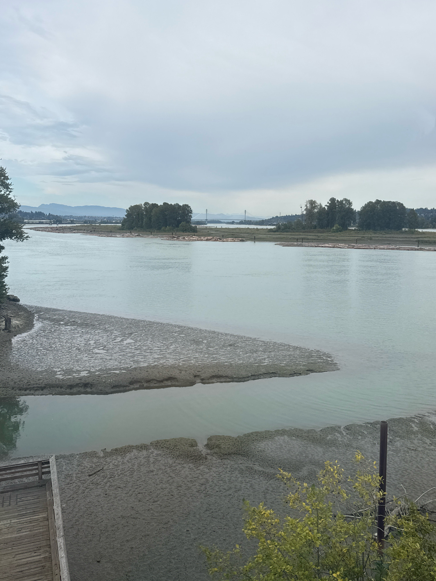 The image shows a wide river with calm, grey-green water under an overcast sky. In the foreground, a wooden boardwalk extends from the lower left corner. The riverbanks are muddy and exposed, revealing intricate patterns on the wet sand. Several islands covered in dense green trees are visible in the distance, separating parts of the river. Beyond the islands, mountains can be seen on the horizon. Bridges are visible in the far distance, spanning the river. The overall scene suggests a natural landscape within or near an urban environment, likely in New Westminster, Canada, given the presence of mountains and bridges typical of the region. There are no people or animals visible in the frame.