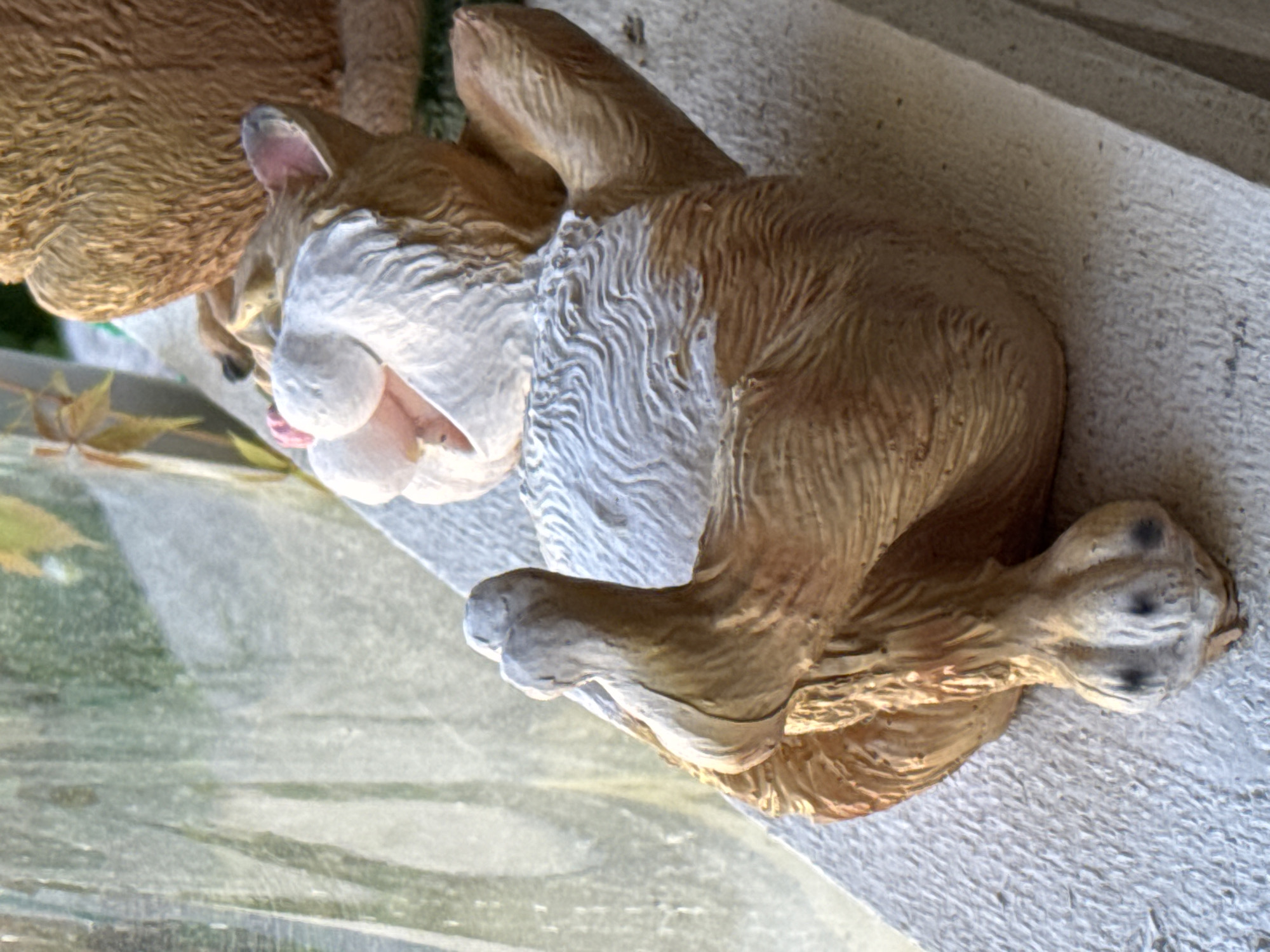 A close-up, slightly angled shot captures a ceramic garden statue of a cat resting on a textured surface. The cat statue is predominantly brown with white accents on its chest and face. Its mouth is open, revealing a pink tongue and teeth. One of its front paws is held up, with visible toes and what appear to be dark paw pads. The statue is positioned on a light-colored, concrete-like ledge. In the background, a translucent, possibly glass or plastic surface with vertical lines is visible, behind which are blurred green and yellow foliage elements. The setting appears to be outdoors, consistent with a garden or patio. The location is identified as Zelenaya Roshcha, Russia.