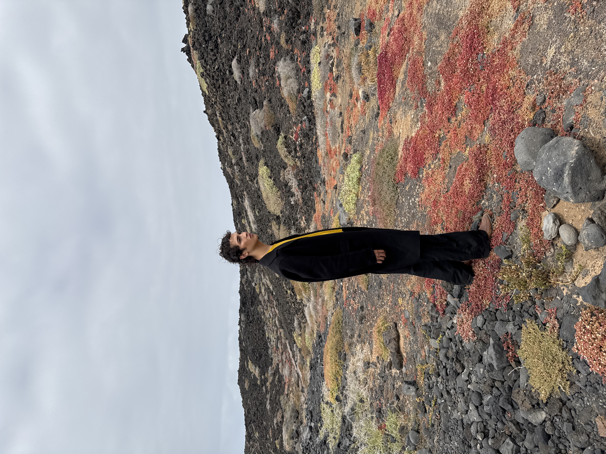 A young person with dark hair and dark clothing with a yellow stripe on the back is standing in a landscape of black volcanic rock and colorful vegetation. The person is looking upwards and appears to be contemplating the overcast sky. The location appears to be the volcanic landscape of Tinajo, Spain. The ground is covered in a mix of black rock, moss, and red succulents.