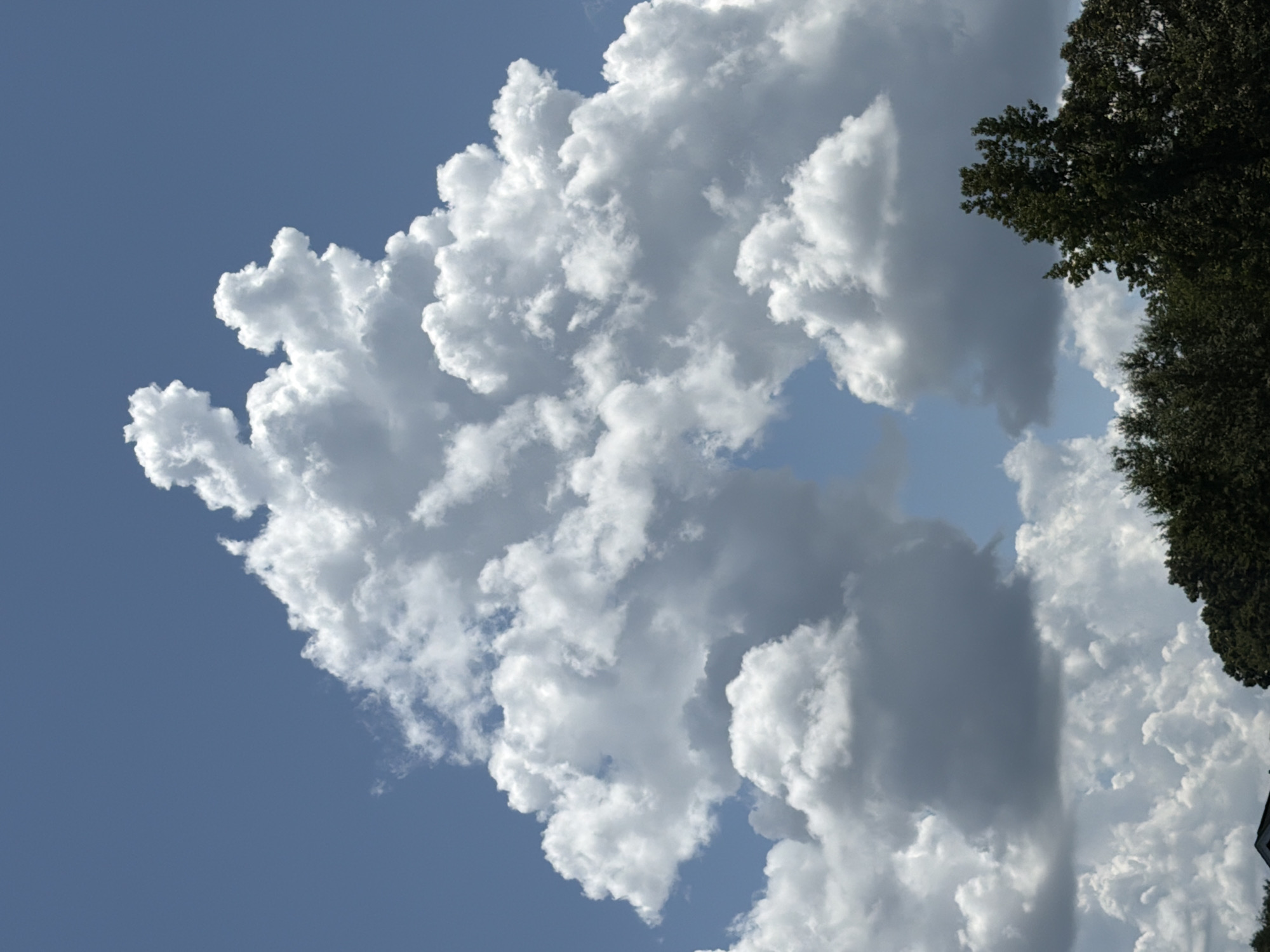 A vertical, eye-level, medium shot captures a dramatic, towering cumulonimbus cloud formation against a clear blue sky, dominating the upper two-thirds of the frame. The cloud exhibits varying shades of white and gray, indicating depth and density, with its top reaching towards the apex of the image in a complex, mountainous shape. Towards the bottom of the frame, a dense line of dark green trees spans the width of the image, partially obscuring a dark, angular structure that could be a roofline. The setting appears to be an outdoor environment, possibly in Wellford, United States of America, during daylight hours, with no people or visible human activity. The overall impression is one of natural grandeur and an impending atmospheric event.