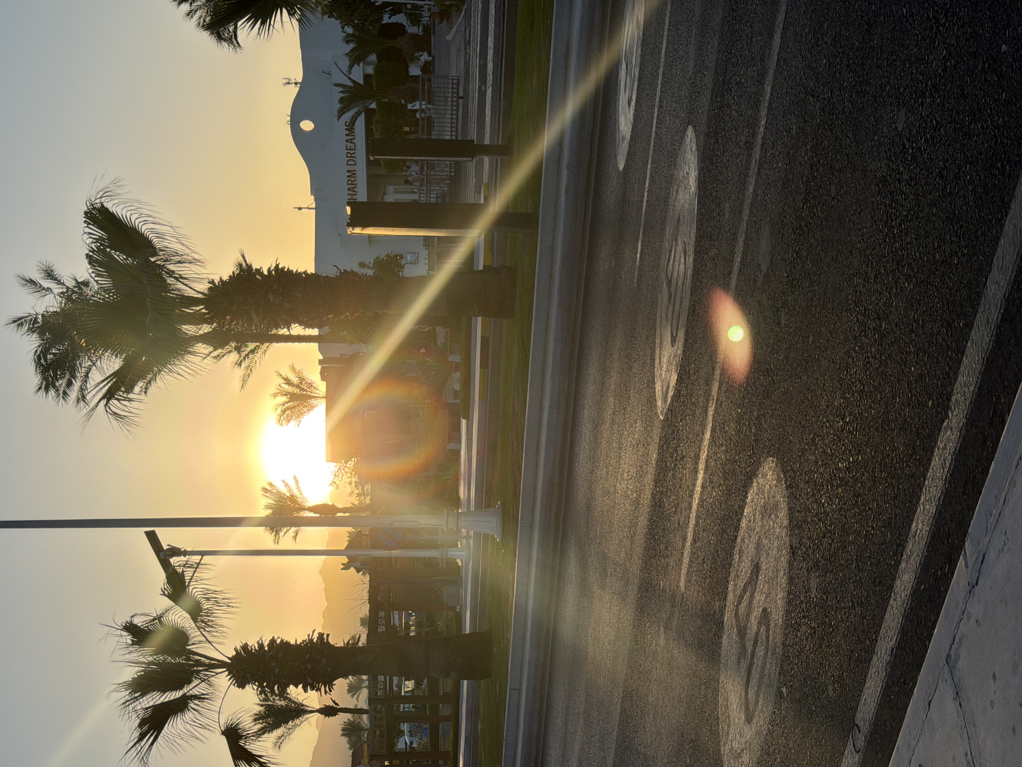 The image depicts a street scene in Sharm El Sheikh, Egypt, during sunset. Palm trees line a road with speed limit markings on the asphalt. In the background, a building with the words "SHARM DREAMS" is visible, along with mountains in the distance. The sun is low in the sky, casting long shadows and creating lens flare effects. A few people can be seen in front of the building. The overall environment suggests a warm, coastal atmosphere.