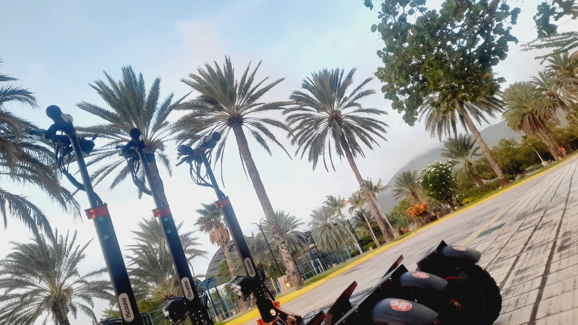 The image depicts a row of electric scooters parked on a paved walkway lined with palm trees. The scooters are black with red accents and have the "iScooter" logo visible on their stems. In the background, lush greenery, more palm trees, and a mountain range under a cloudy sky are visible. The scene appears to be an outdoor recreational area or a promenade. There are no people clearly visible in the foreground or middle ground of the image, though a distant figure in red can be seen on the right side. The overall environment suggests a warm, possibly tropical climate. The perspective is from a low angle, looking up at the scooters and palm trees, with the walkway extending diagonally into the background.