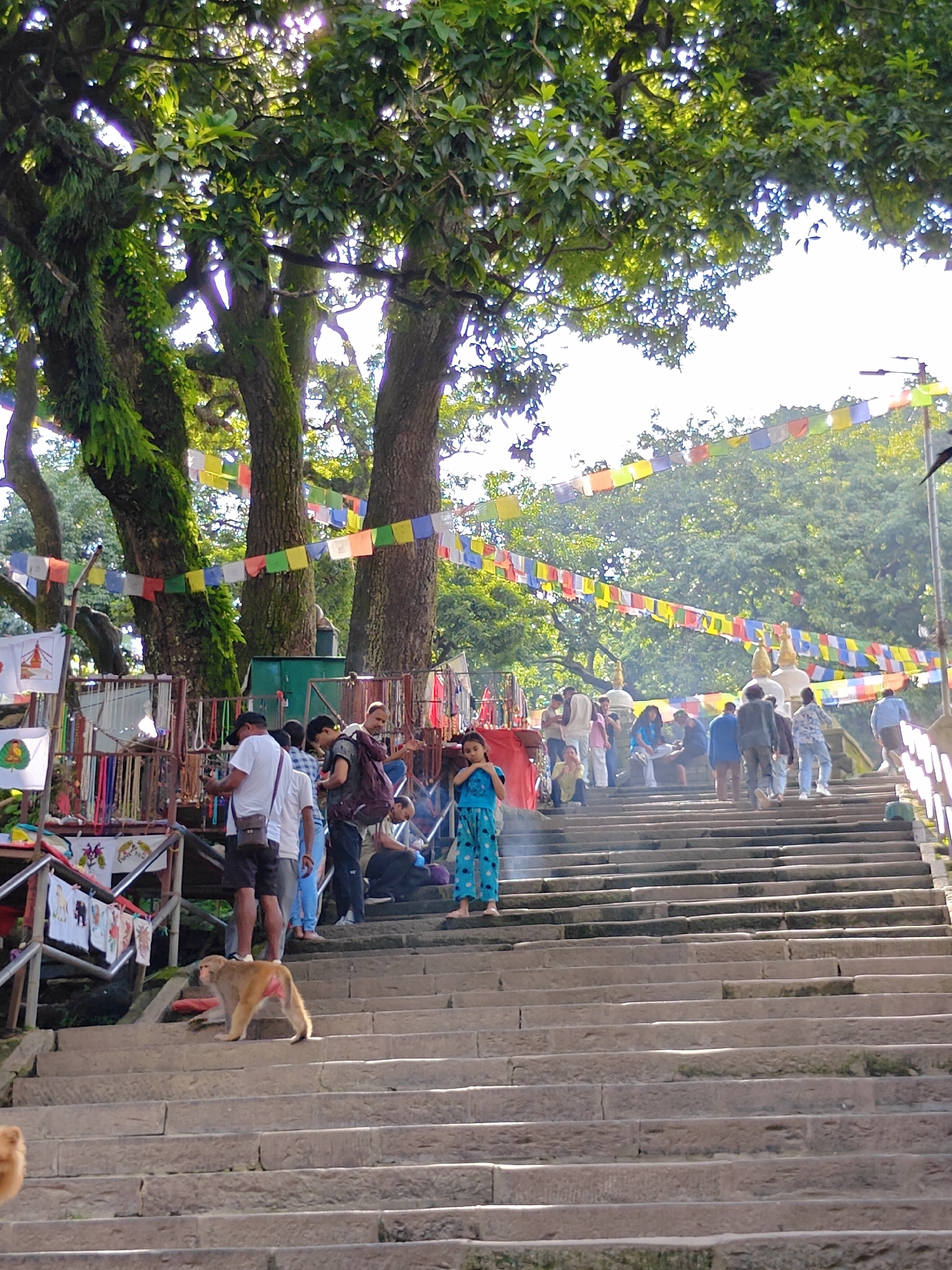This image depicts a wide stone staircase leading upwards towards a temple complex, likely within the Swayambhunath Stupa area of Kathmandu Metropolitan City, Nepal, given the prayer flags and the presence of macaques. Sunlight streams through the canopy of a large tree on the left, illuminating prayer flags strung across the scene. Various individuals are seen ascending and descending the stairs. On the left side of the lower portion of the staircase, a monkey with reddish-brown fur is walking upwards. To the left of the stairs, there are stalls selling prayer items and other goods, with people browsing. In the mid-ground, more people are visible, some seated, and the staircase continues upwards with prayer flags overhead. The overall scene suggests a vibrant, active spiritual and tourist site.