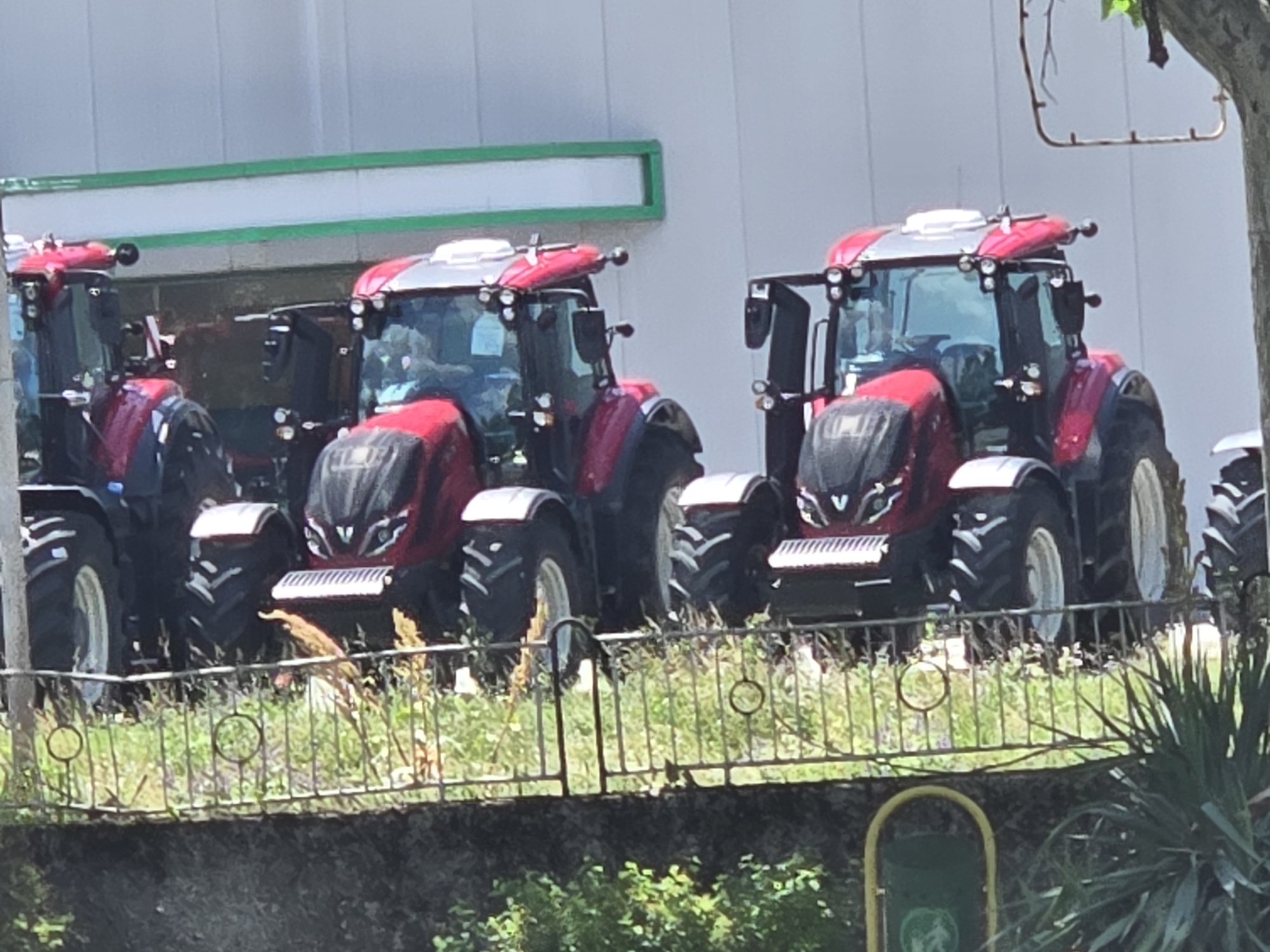 The image displays several red and black tractors parked outdoors, likely in front of a dealership or service center. At least three tractors are clearly visible, arranged in a row, with their fronts facing the viewer. The tractors feature prominent red bodywork with black accents, large tires with visible tread patterns, and enclosed cabs with tinted windows. The closest two tractors have a distinctive V-shaped logo on their front grilles. White or silver roofs are present on some of the cabs.
Behind the tractors is a large building with light grey or off-white siding, featuring a horizontal green stripe or trim running along its upper portion. The bright lighting suggests it is daytime, likely sunny.
In the foreground, a metal fence or railing with circular decorative elements runs across the lower part of the frame, separating the viewing area from where the tractors are parked. Green grass and weeds grow around the base of the fence, and a dark stone or concrete wall is visible beneath it. To the far right in the foreground, a green waste bin with a white circular logo depicting a person and a dog is visible through a yellow metal frame. The text "CLEAN UP" is partially discernible on the logo, indicating it is likely a pet waste disposal bin. A tree branch extends into the frame from the top right corner. The scene depicts a commercial or industrial setting, possibly an agricultural equipment sales lot or storage area.