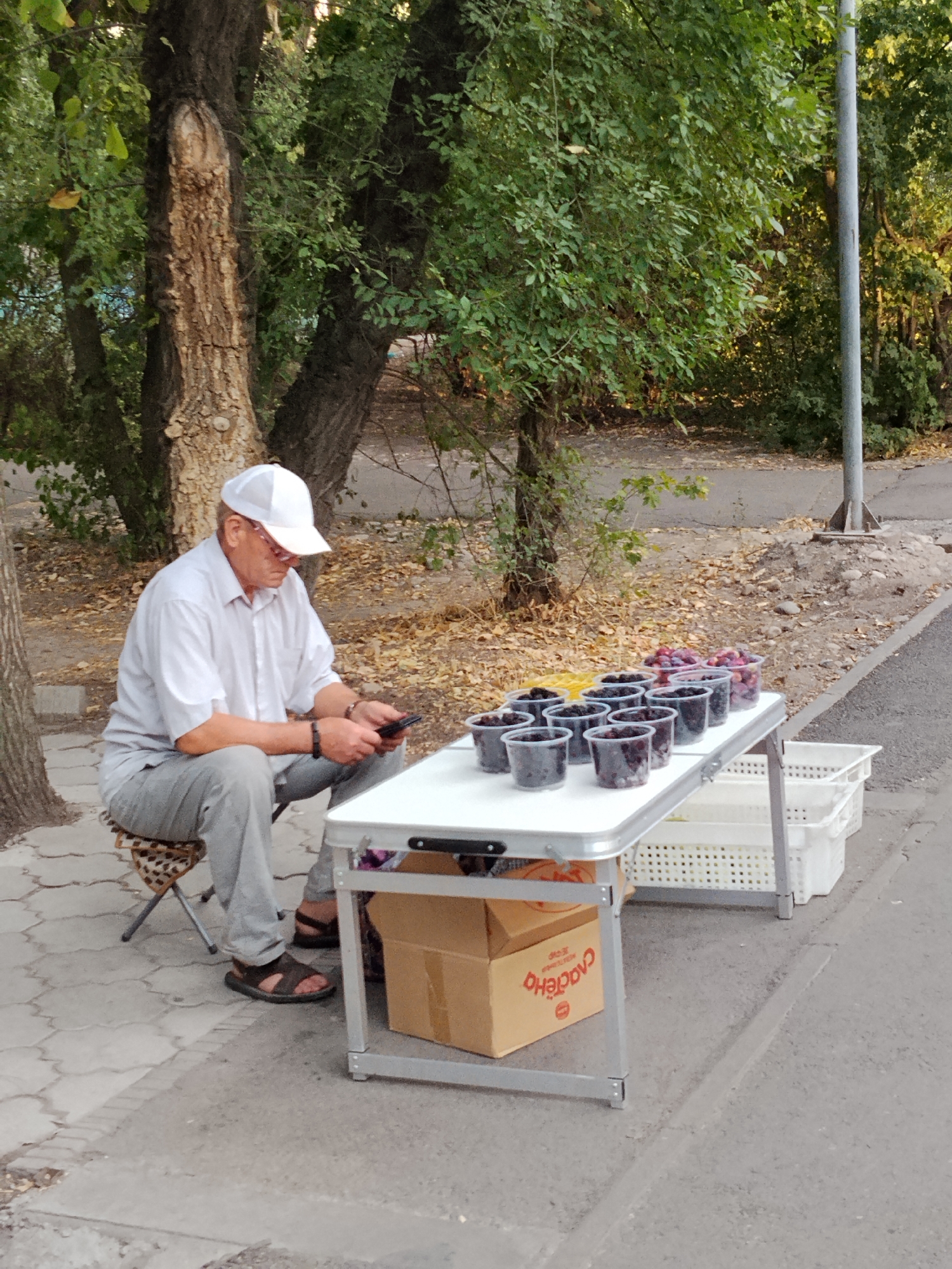 A man wearing a white cap, white shirt, grey pants, and brown sandals sits on a stool next to a folding table laden with various berries in plastic cups. He is holding a mobile phone in his hands. The table also displays a yellow item, possibly more berries, in a shallow container, and in the background, there are two white plastic crates. Underneath the table, a cardboard box with red lettering is visible. The scene appears to be outdoors, with trees and fallen leaves in the background, suggesting an urban park or sidewalk setting. The ground is paved with interlocking concrete stones. The overall impression is that of a street vendor selling produce. Given the context of Bishkek City, Kyrgyzstan, this could be a common sight in local markets or along busy streets where small businesses operate.