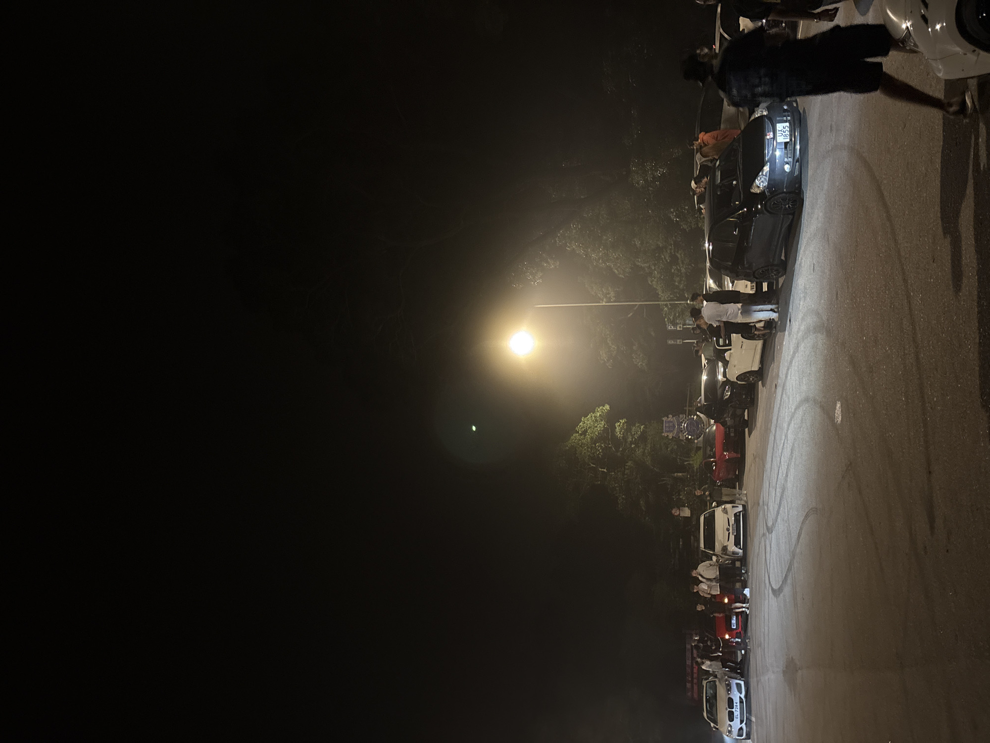 The image shows a night-time scene in what appears to be a parking area with a street lamp illuminating a gathering of people and vehicles. The location is suggested to be in Hong Kong, China.
The scene includes:
* Several parked cars lined up along a road or parking area.
* Groups of people standing near or between the cars.
* Tire tracks (possibly from car maneuvers) on the road surface.
* A single street light providing illumination.
* Dark background with possible trees or greenery visible in the distance.
The subjects and objects include the cars (mostly modern, mass-produced models), people, and the environment. The people are interacting near the vehicles, suggesting a car meet or gathering of some sort. There is no specific action being depicted other than standing and gathering.