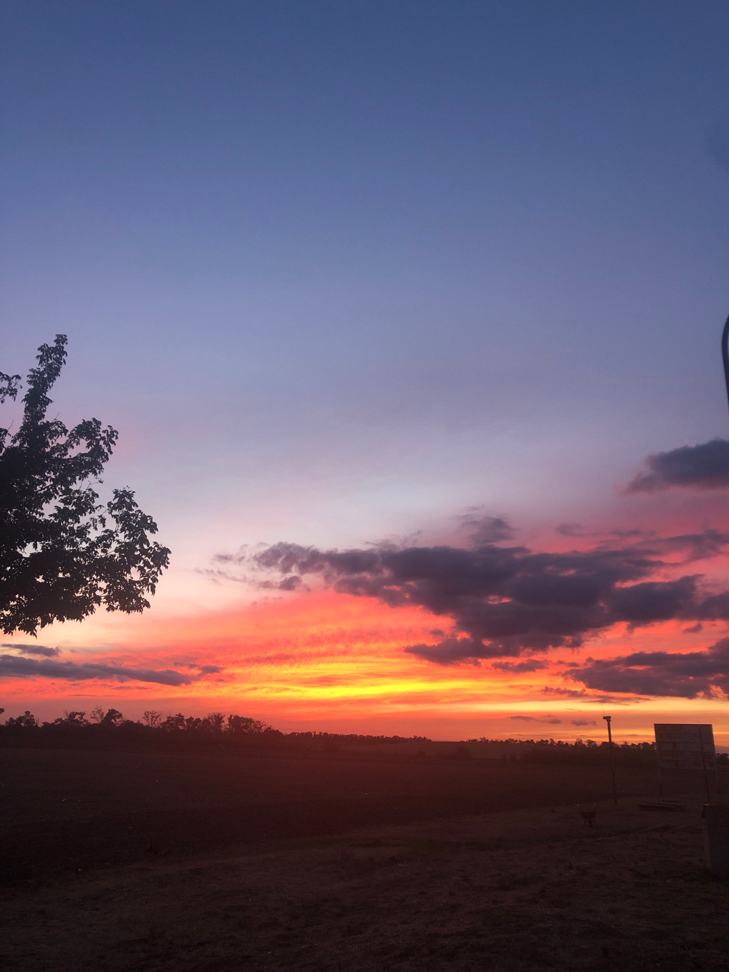 The image depicts a twilight scene in Pohořelice, Czechia. The sky is filled with vibrant hues of orange, pink, and purple, transitioning into a deep blue at the top. Dark clouds are scattered across the horizon, contrasting with the bright colors of the sunset. In the foreground, a silhouetted tree with leaves is visible on the left side of the frame. The ground appears to be a field with sparse vegetation. On the right side, a pole with a sign and what looks like a billboard are barely discernible in the dim light. The overall atmosphere is serene and picturesque.