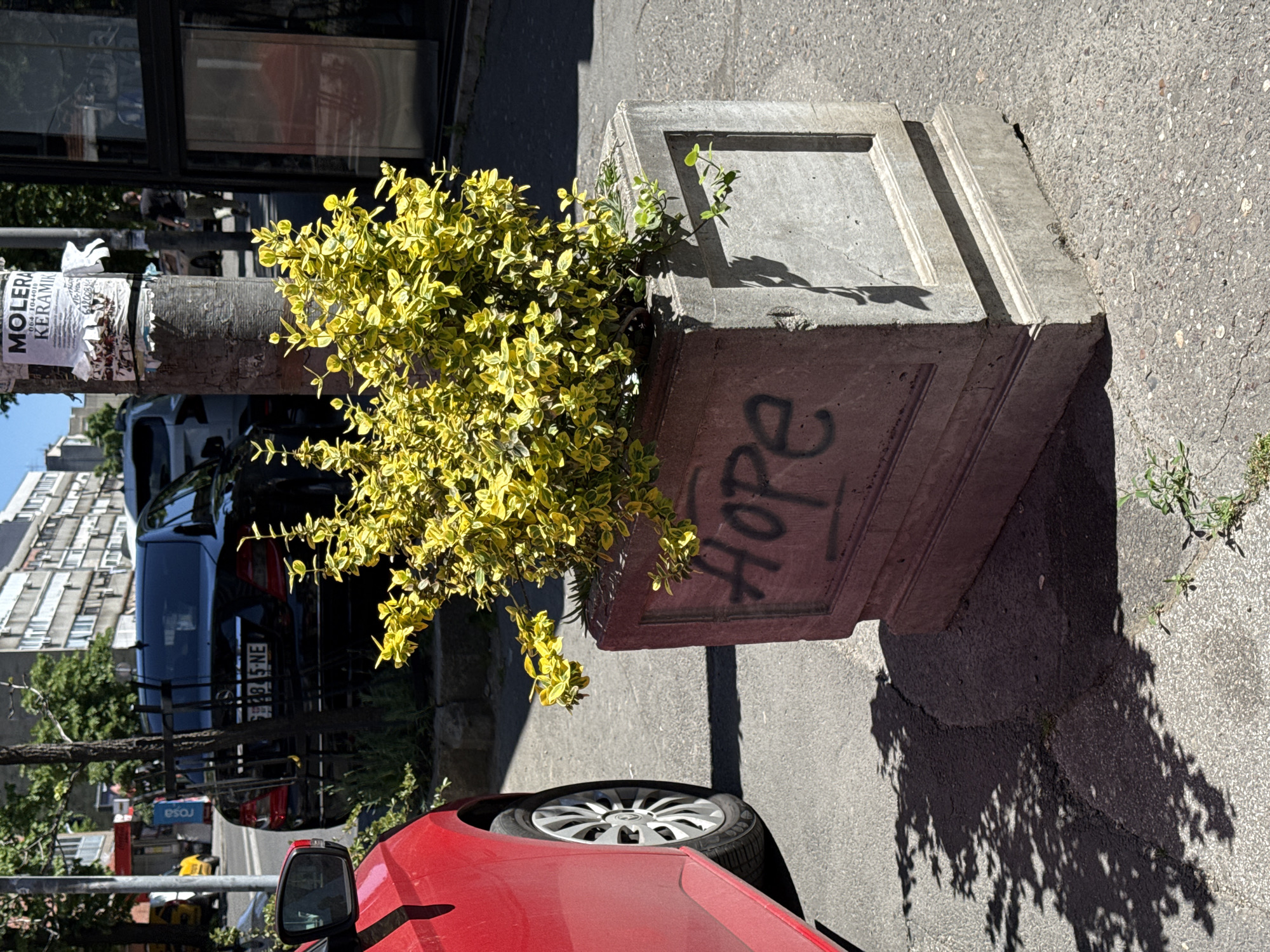 The image captures a street scene in Vozdovac Urban Municipality, Serbia. A concrete planter with a yellow and green bush growing in it sits on the sidewalk. The word "Hope" is sprayed on the side of the planter. A red car is partially visible in the foreground. In the background, there's a utility pole with posters, a parked blue car, and a building. The scene is bathed in sunlight, casting shadows on the pavement.