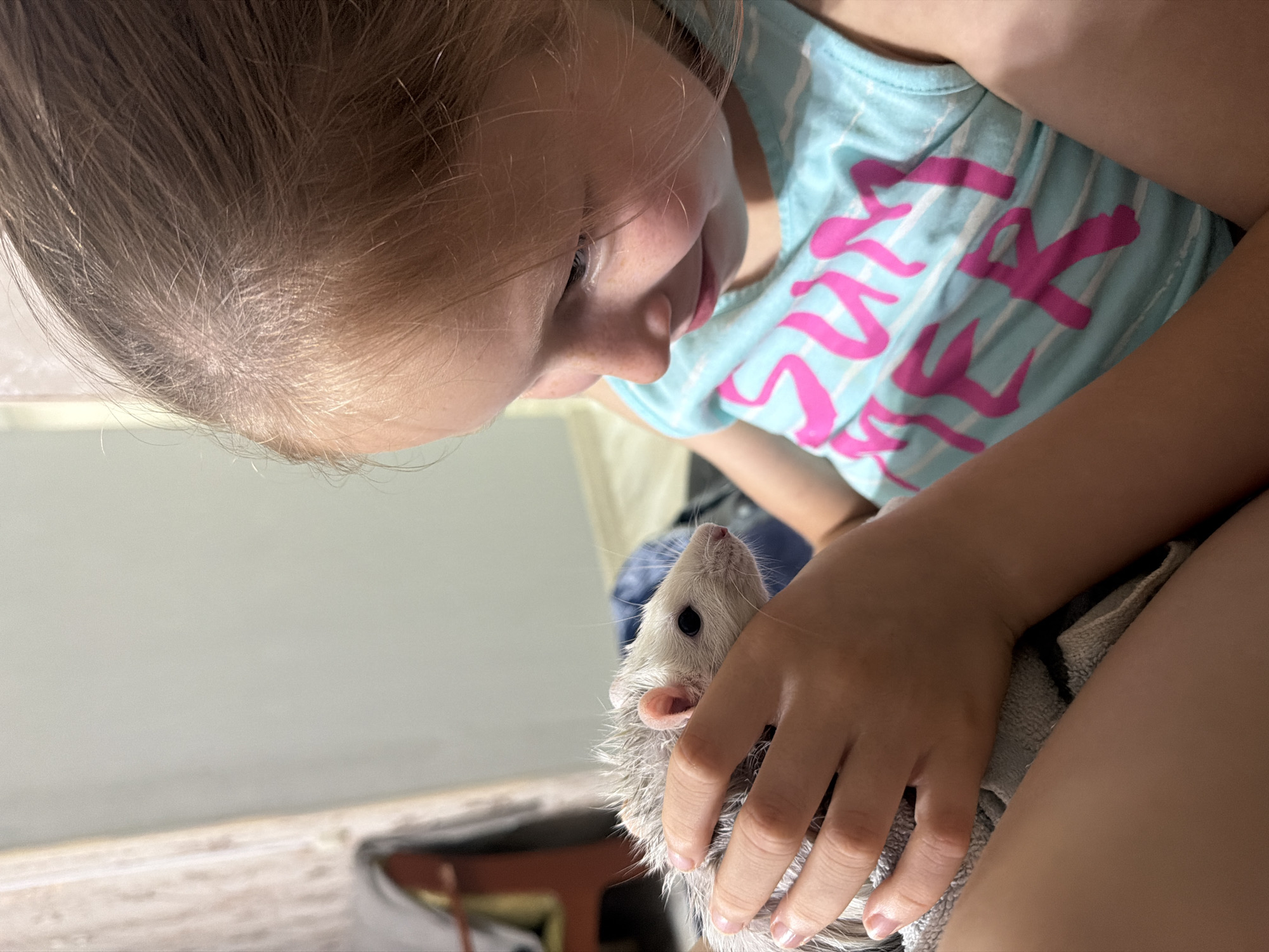 In this close-up, indoor photograph, a young girl with blonde hair, wearing a light blue tank top with pink lettering, is gently holding a white and grey rat. Her hands are cradling the rodent, which is looking to the right with its pink ears visible. The girl is looking down at the rat with a soft expression. The background is softly blurred, showing indistinct furniture and walls, suggesting a domestic setting. The lighting appears to be natural, possibly from a window. There is no indication of the location being in Dubovaya, Russia.