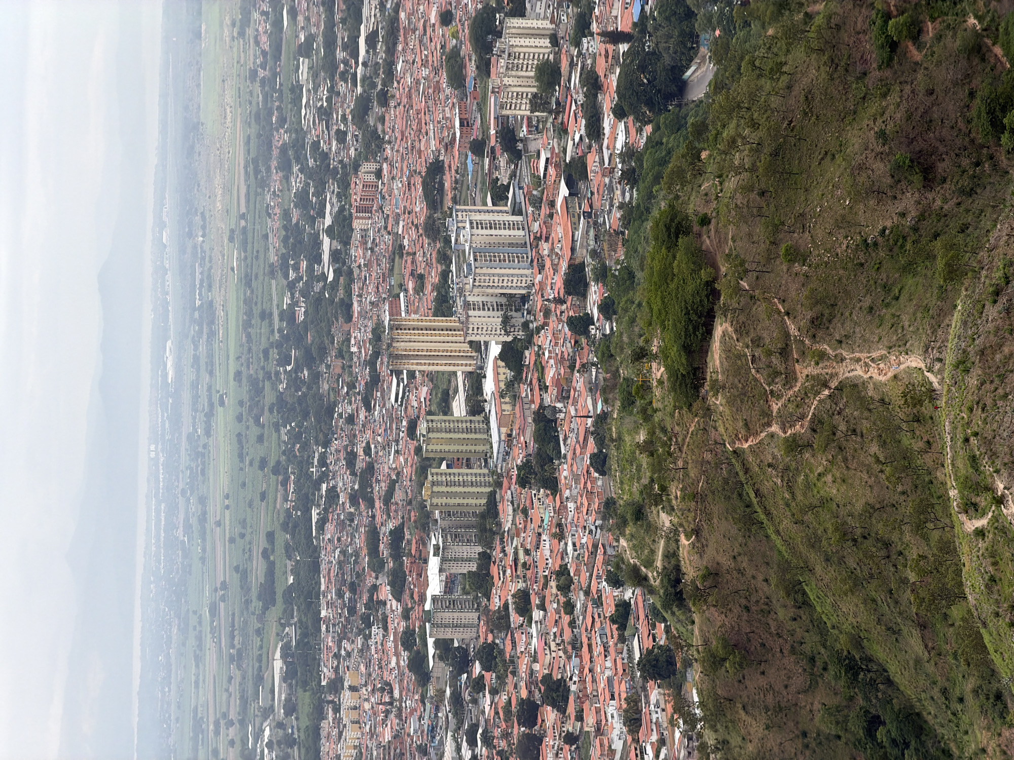This aerial photograph showcases a panoramic view of Turmero, Venezuela, highlighting the dense urban sprawl transitioning into agricultural land and distant mountains under a hazy sky. The foreground is dominated by a steep, grassy hillside dotted with scattered trees and winding dirt paths. A single human figure, dressed in red, is visible walking on one of these paths in the mid-ground of the hillside.
Below the hillside, the city of Turmero unfolds. The urban landscape is characterized by a vast expanse of residential buildings with distinctive red-tiled roofs, interspersed with numerous trees. Several high-rise apartment buildings stand out amidst the lower-rise structures, forming clusters within the city. In the background, the urban area gives way to cultivated fields and open green spaces, suggesting agricultural activity. Beyond the fields, a range of mountains is faintly visible, softened by atmospheric haze. The overall impression is one of a sprawling city integrated with its natural surroundings.